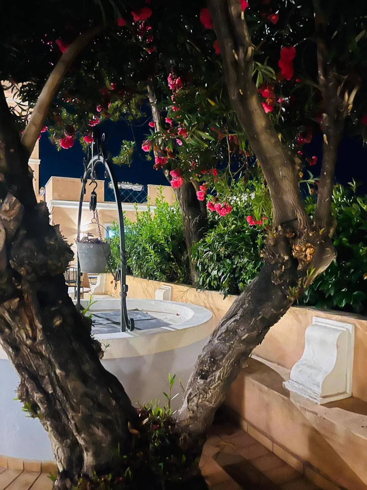 Restaurant/places to eat in Hotel La Lampara