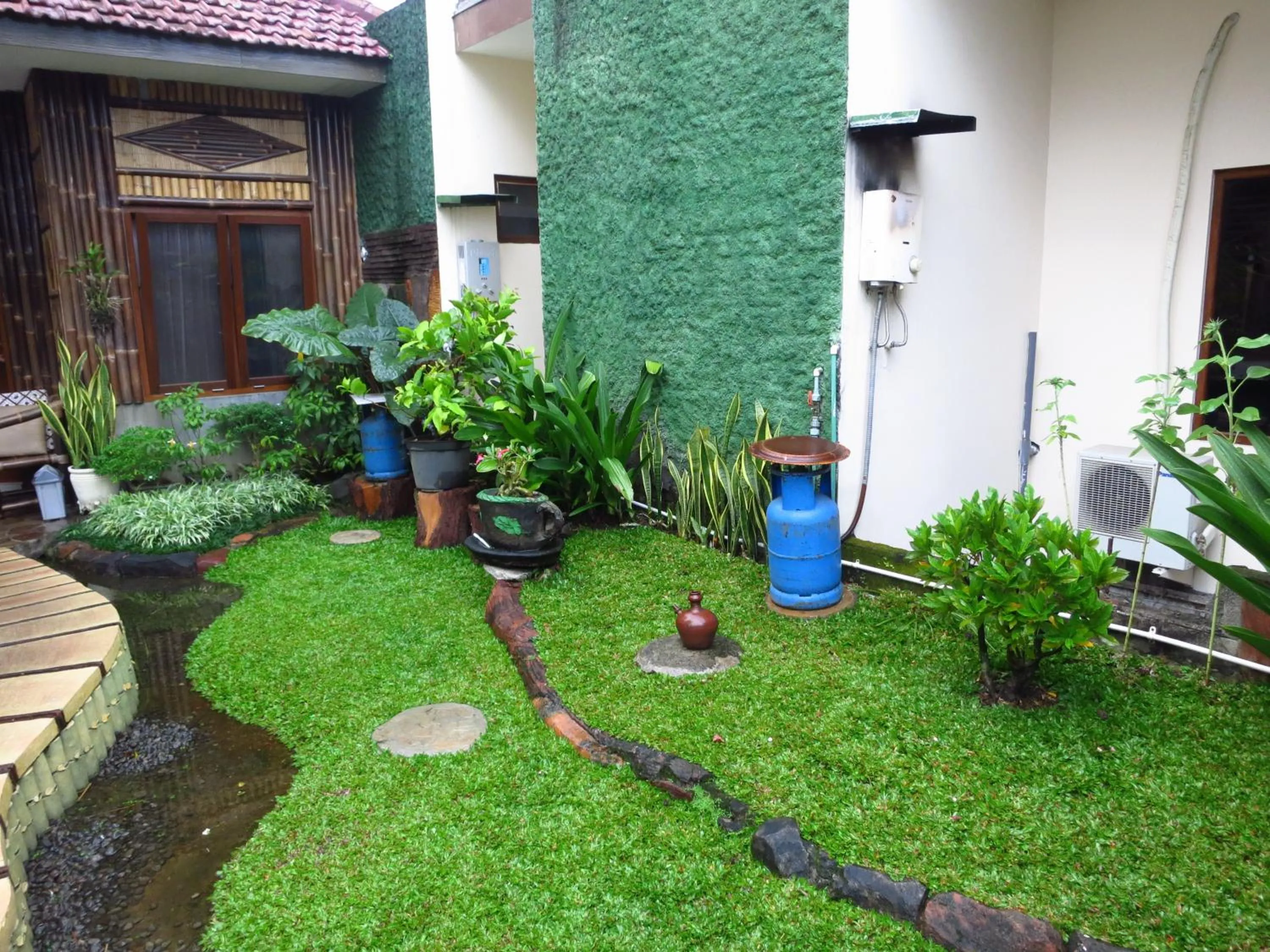 Garden in Enny's Guest House