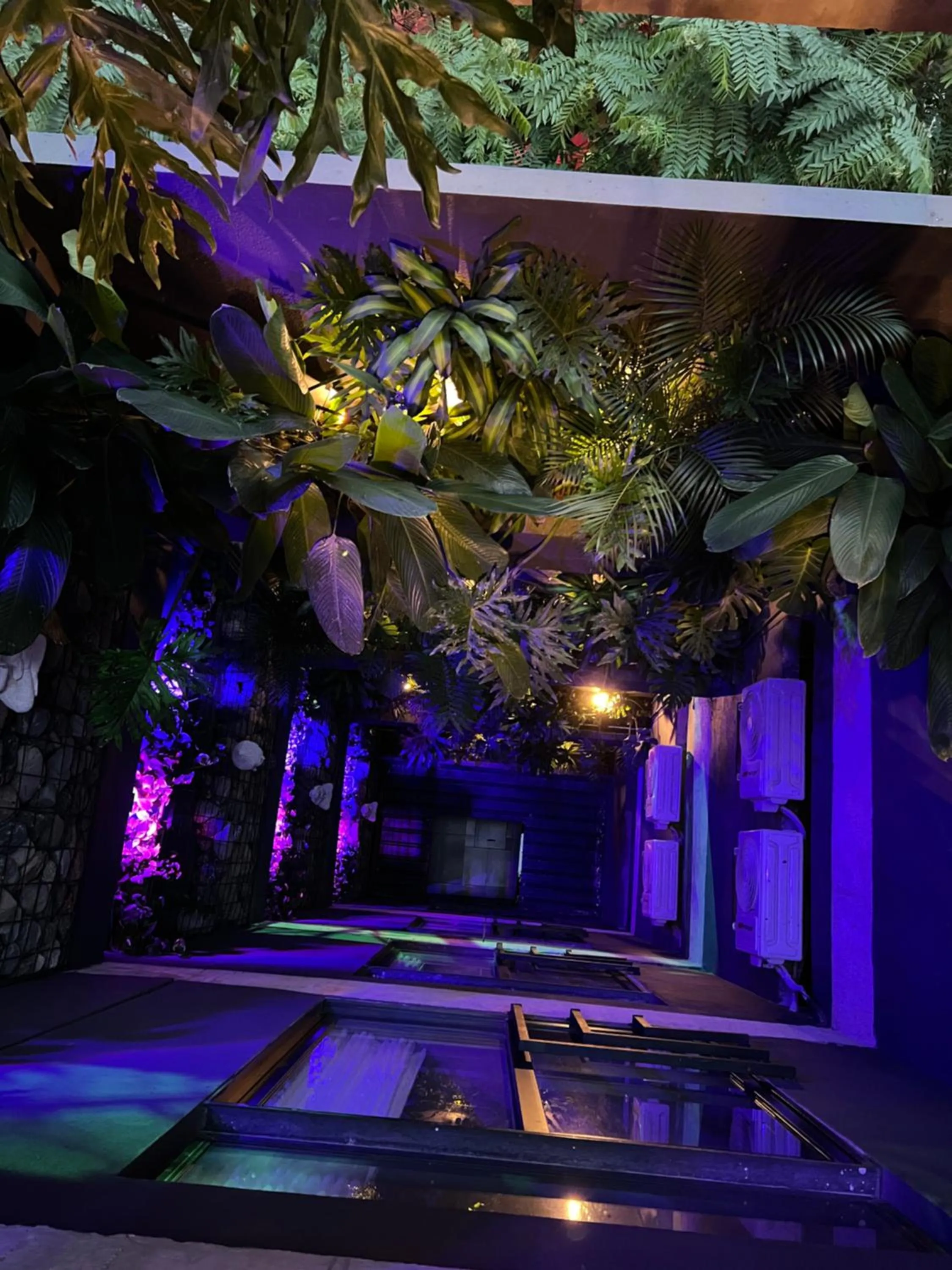 Garden in Hotel Zelva Negra