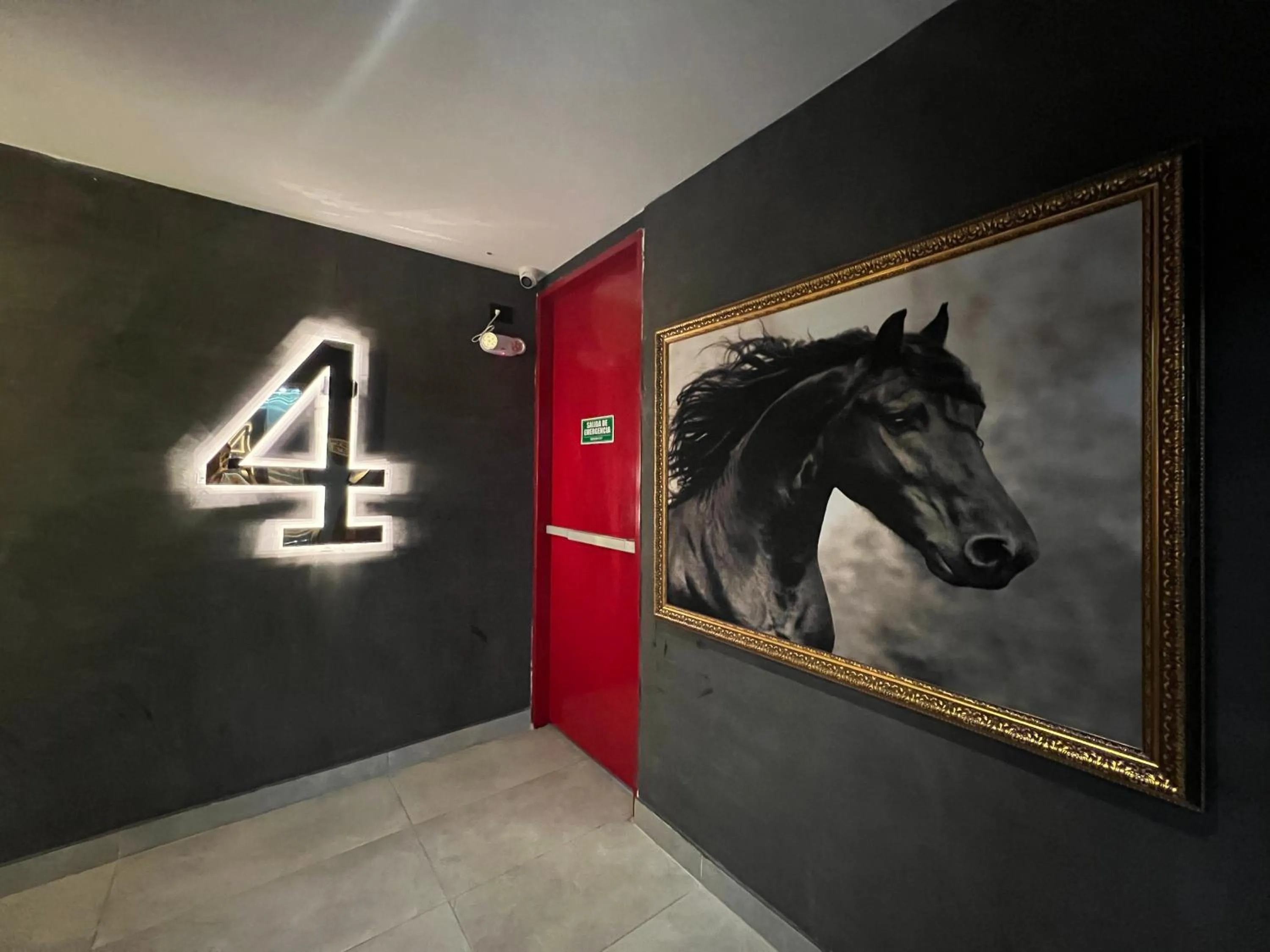 Decorative detail in Hotel Zelva Negra