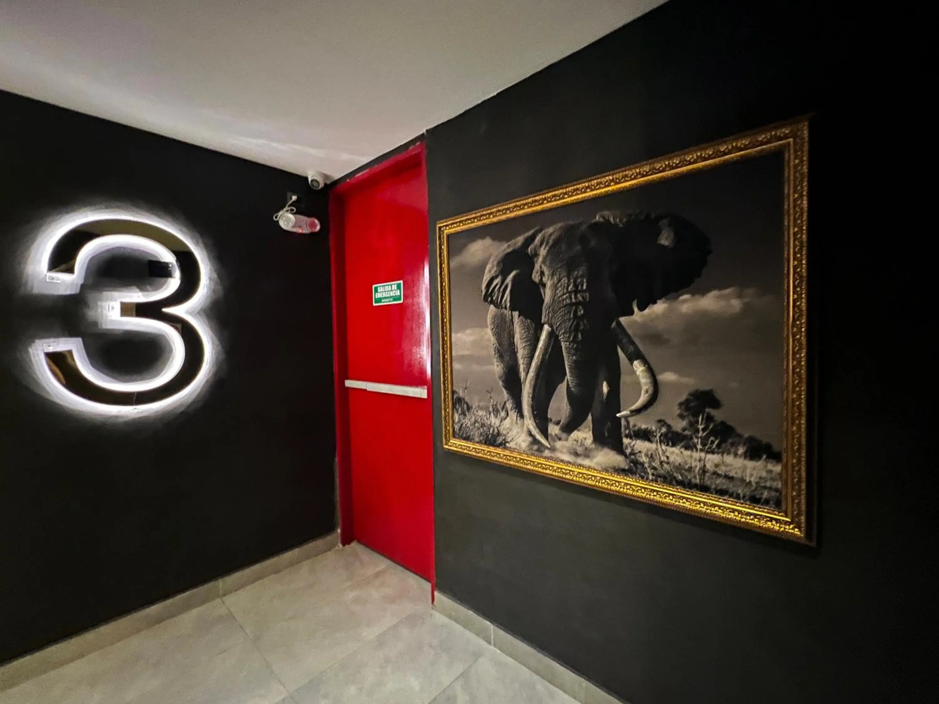 Decorative detail in Hotel Zelva Negra