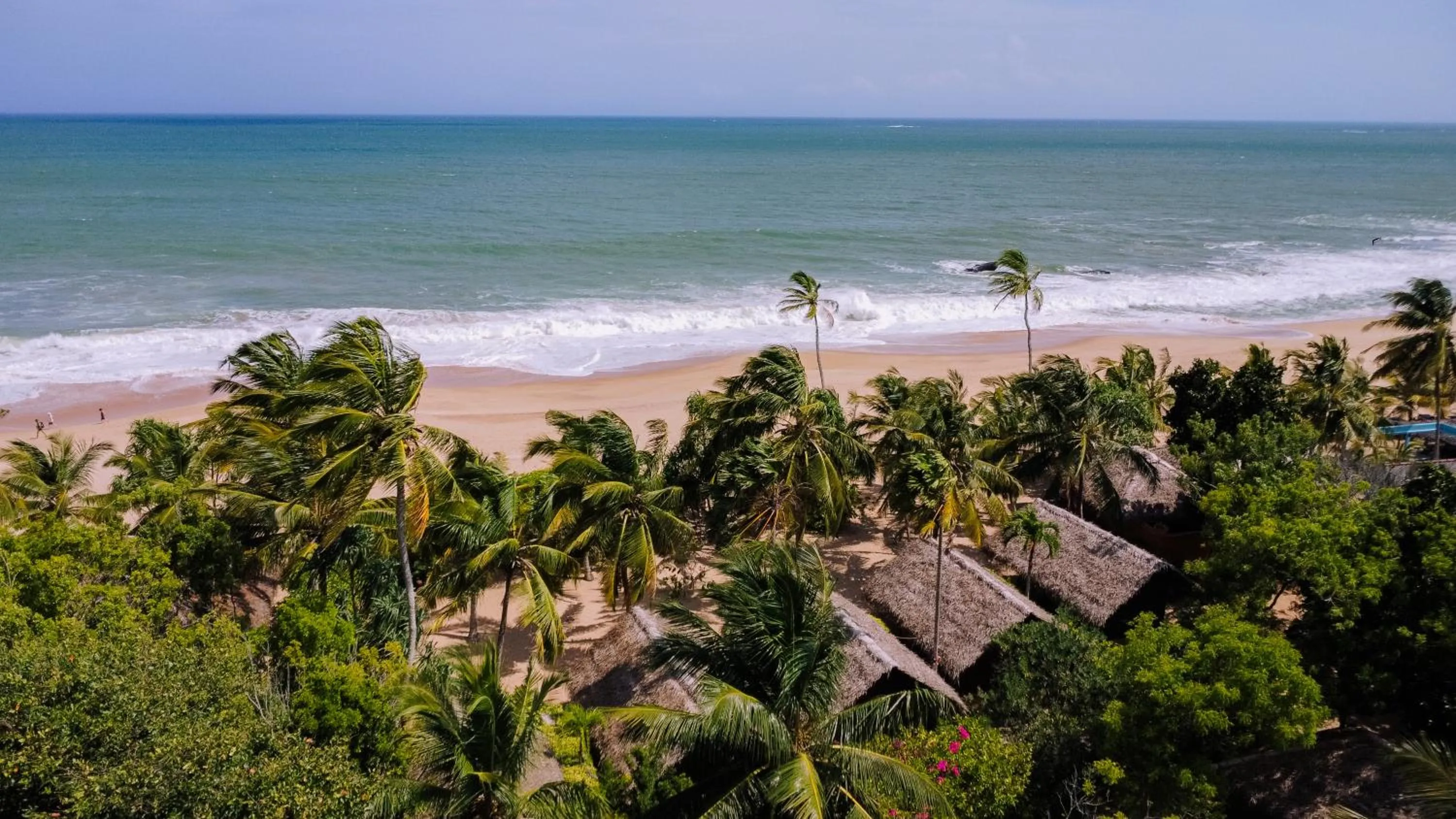 Beach in The Waves Beach Chalets