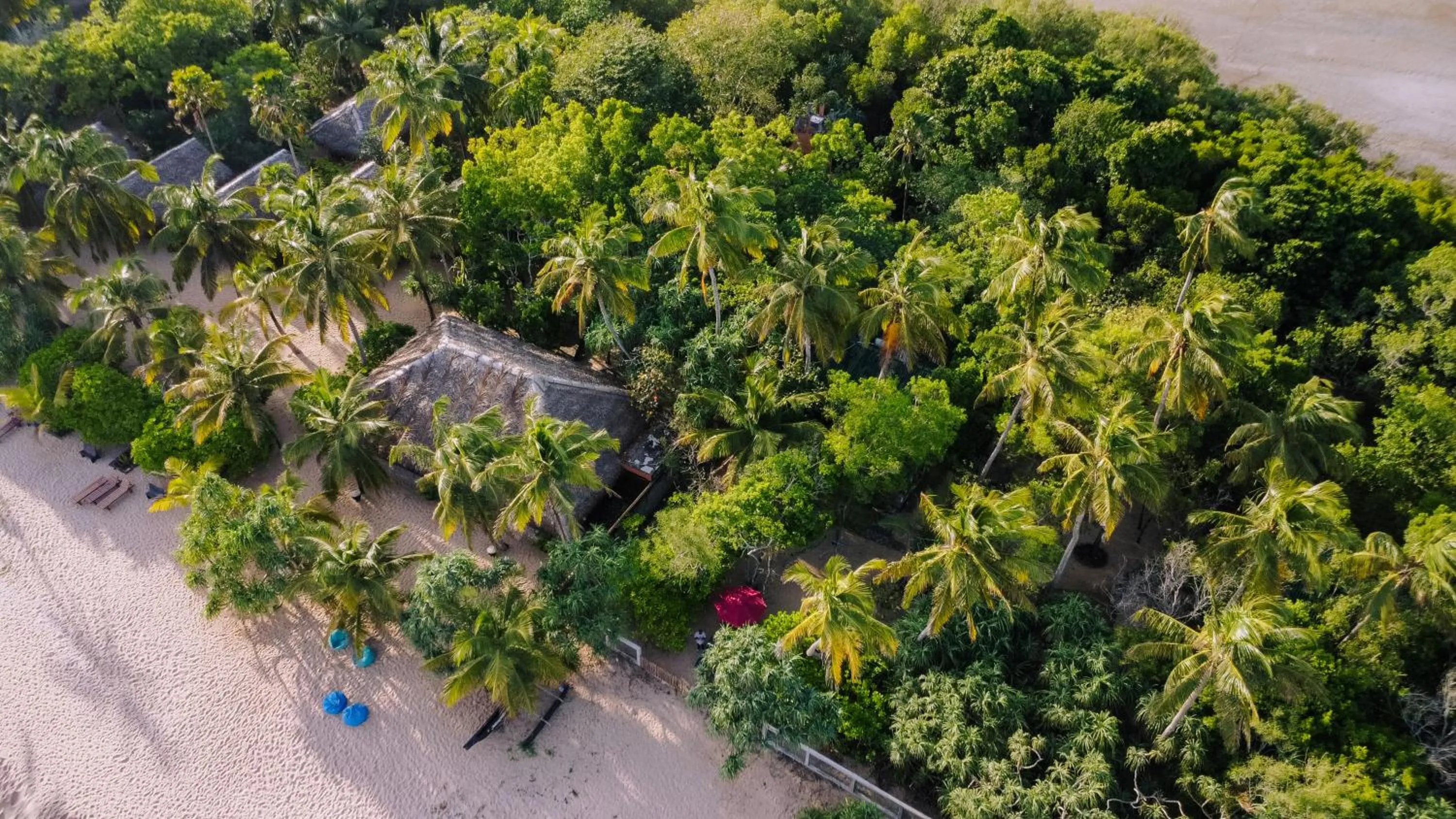 Beach in The Waves Beach Chalets