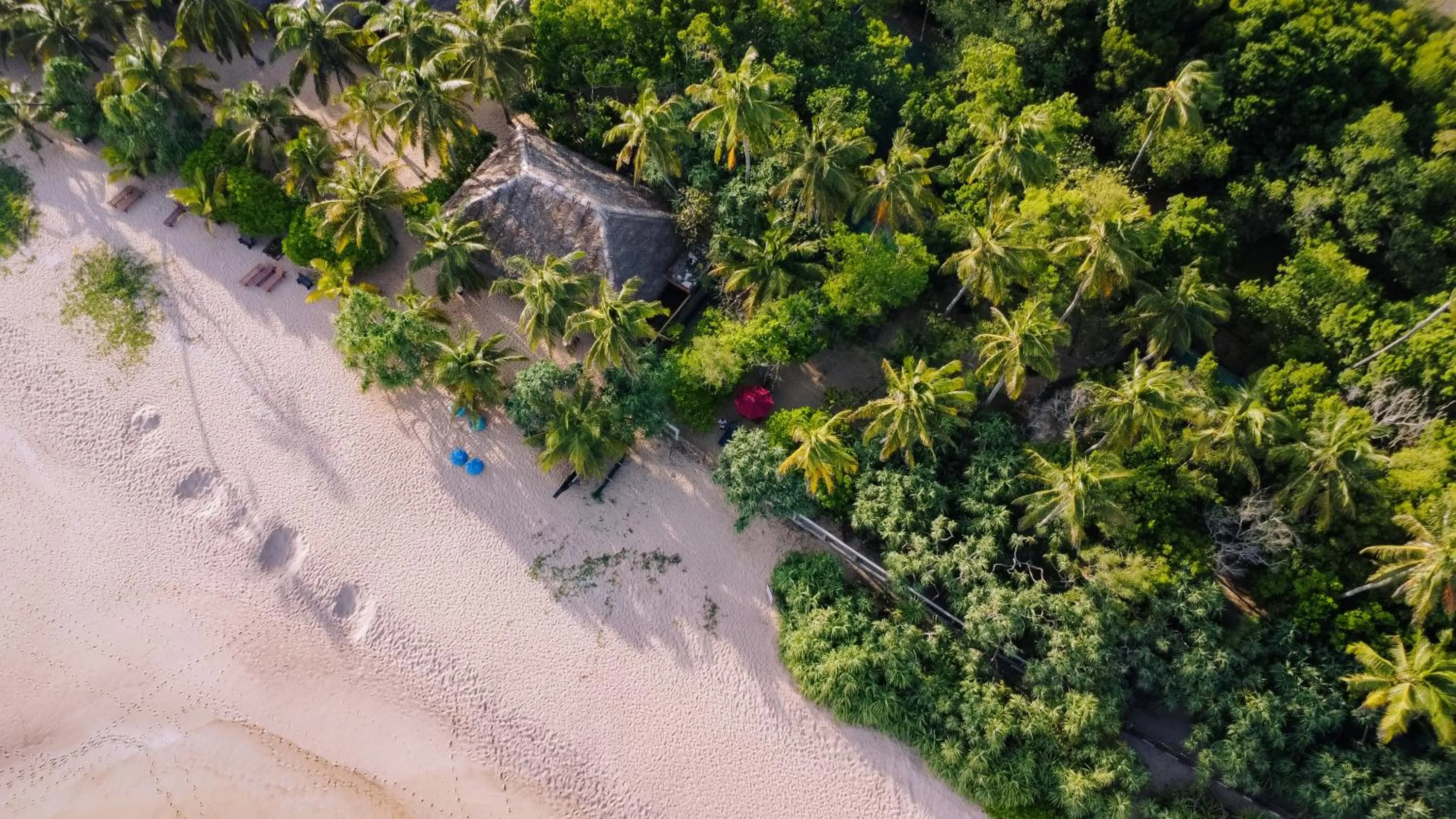 Beach in The Waves Beach Chalets