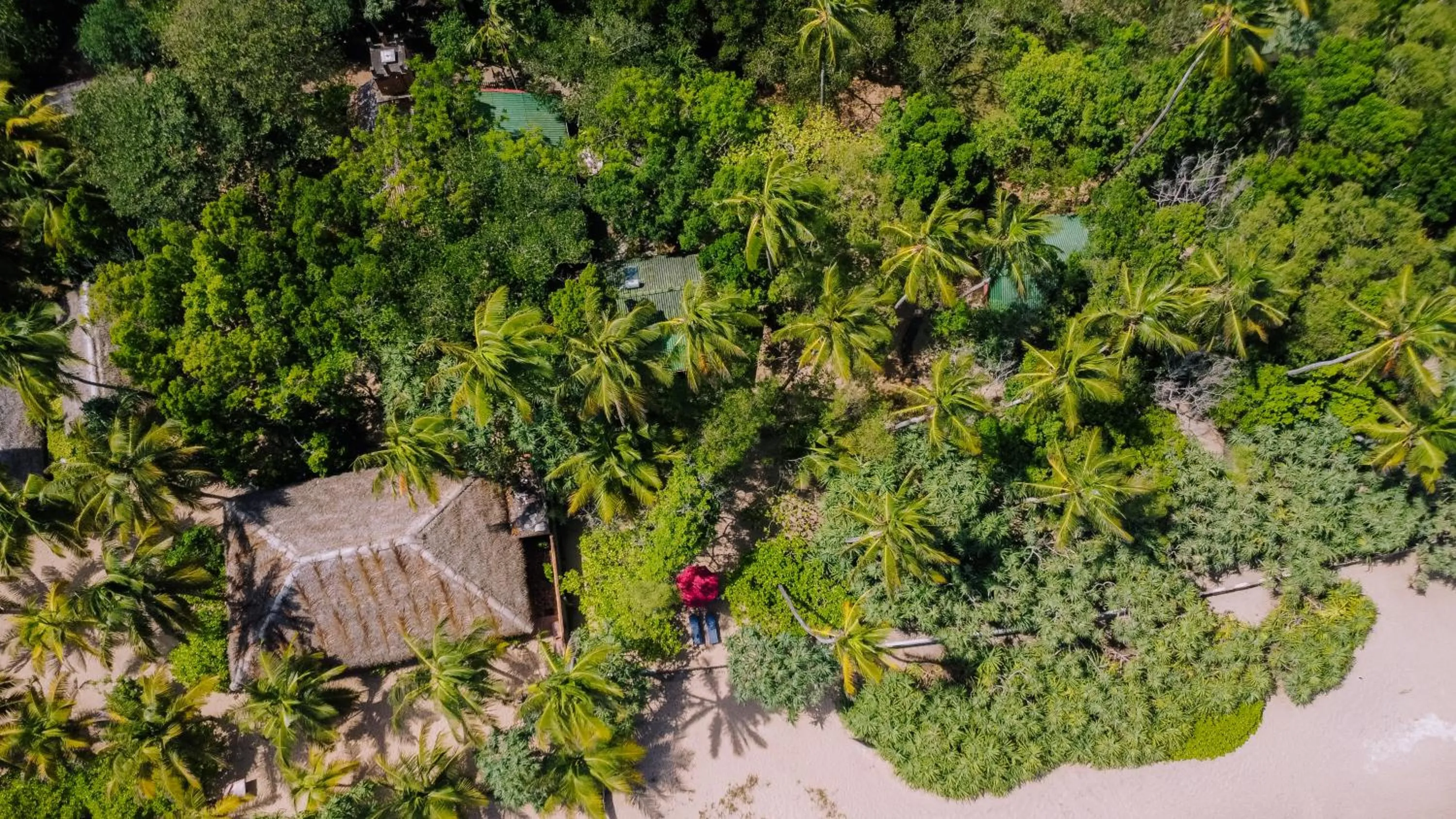 Property building in The Waves Beach Chalets