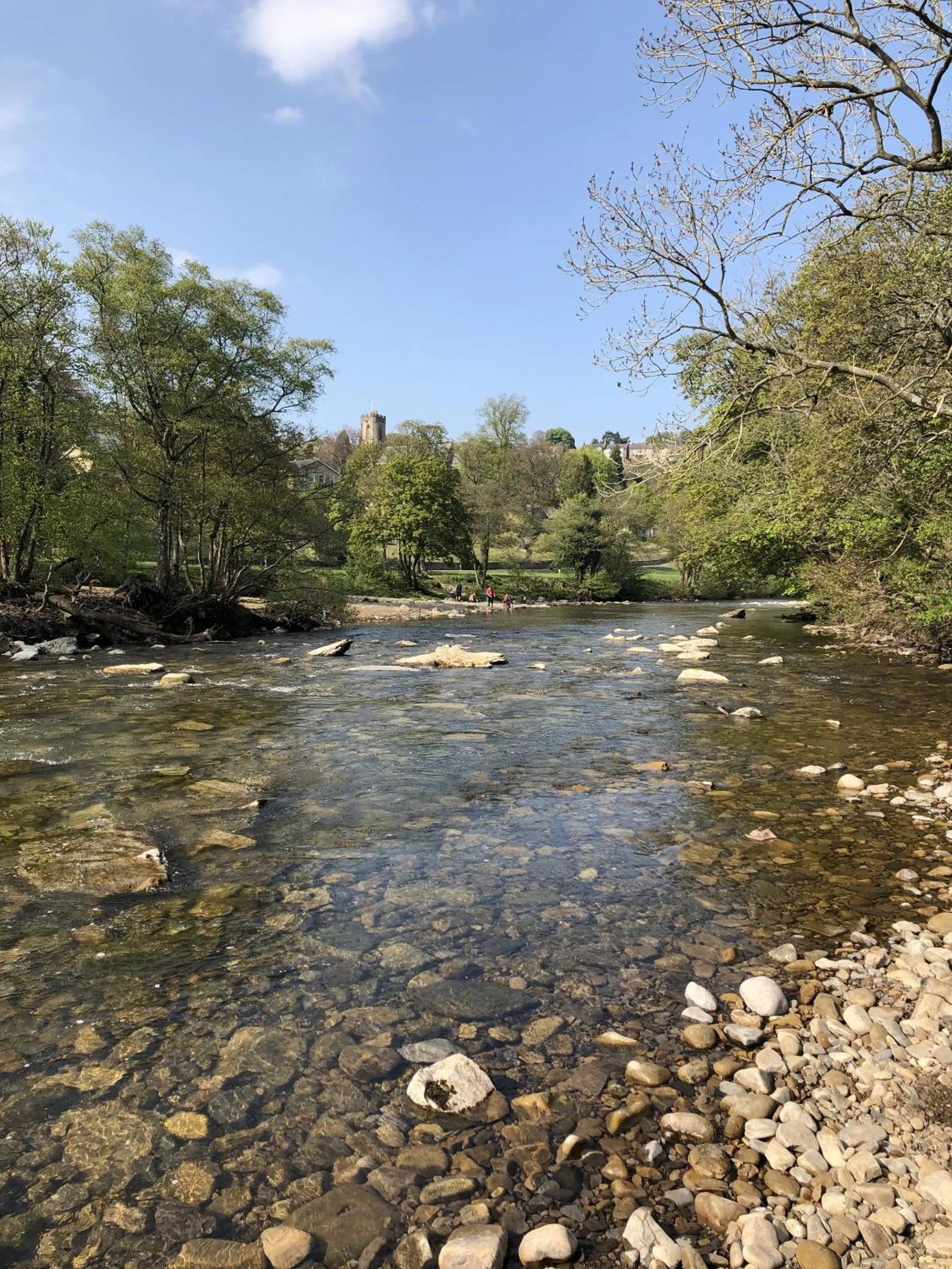 Activities in The unicorn