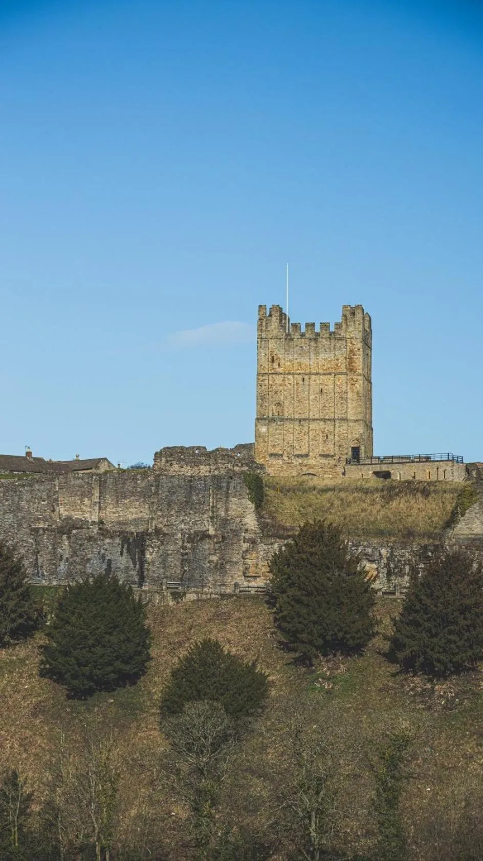 Activities in The unicorn