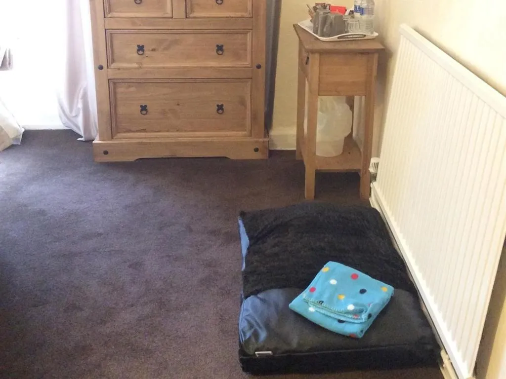 Bedroom, TV/Entertainment Center in The unicorn