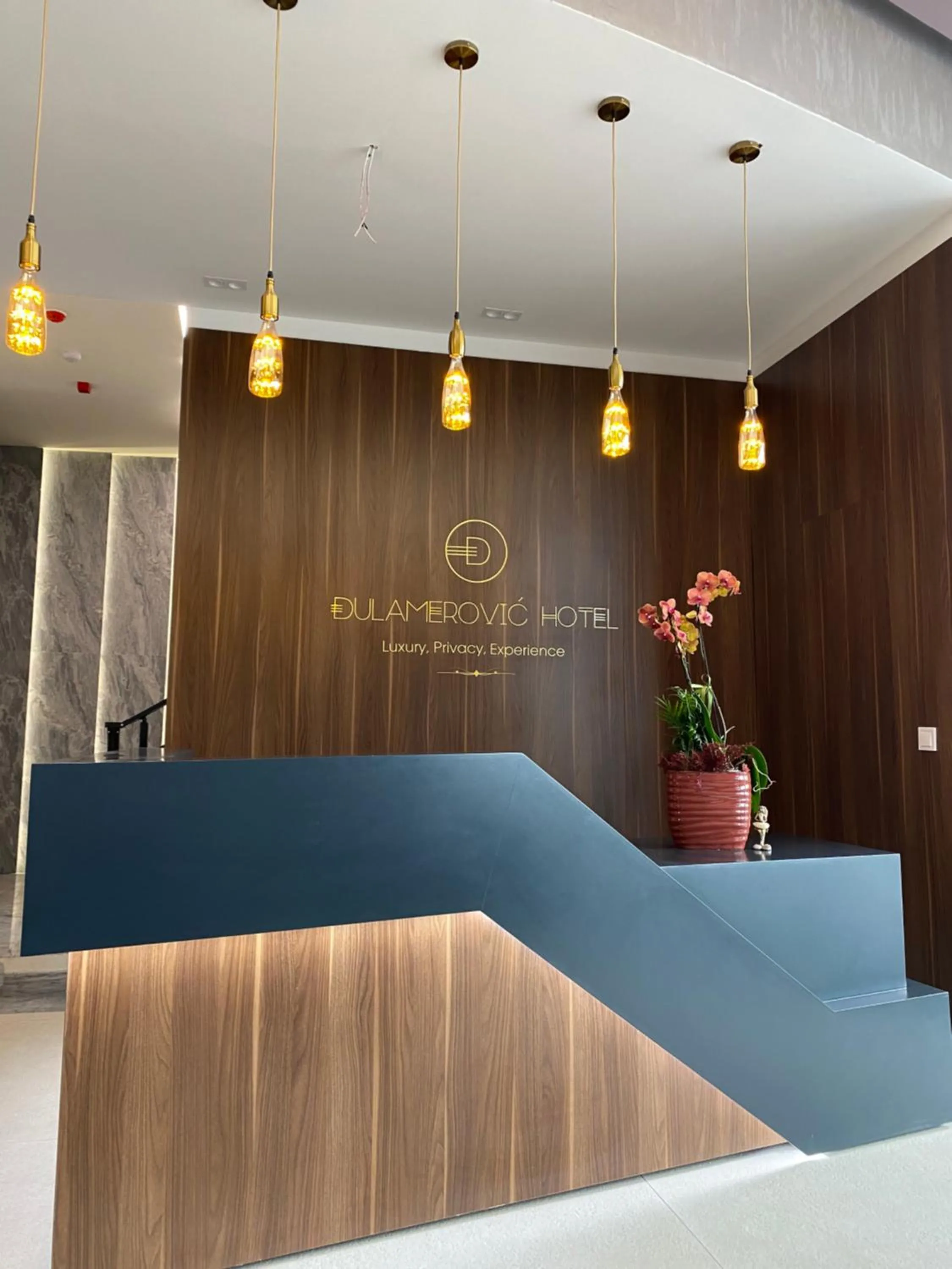 Lobby or reception in Dulamerovic Hotel