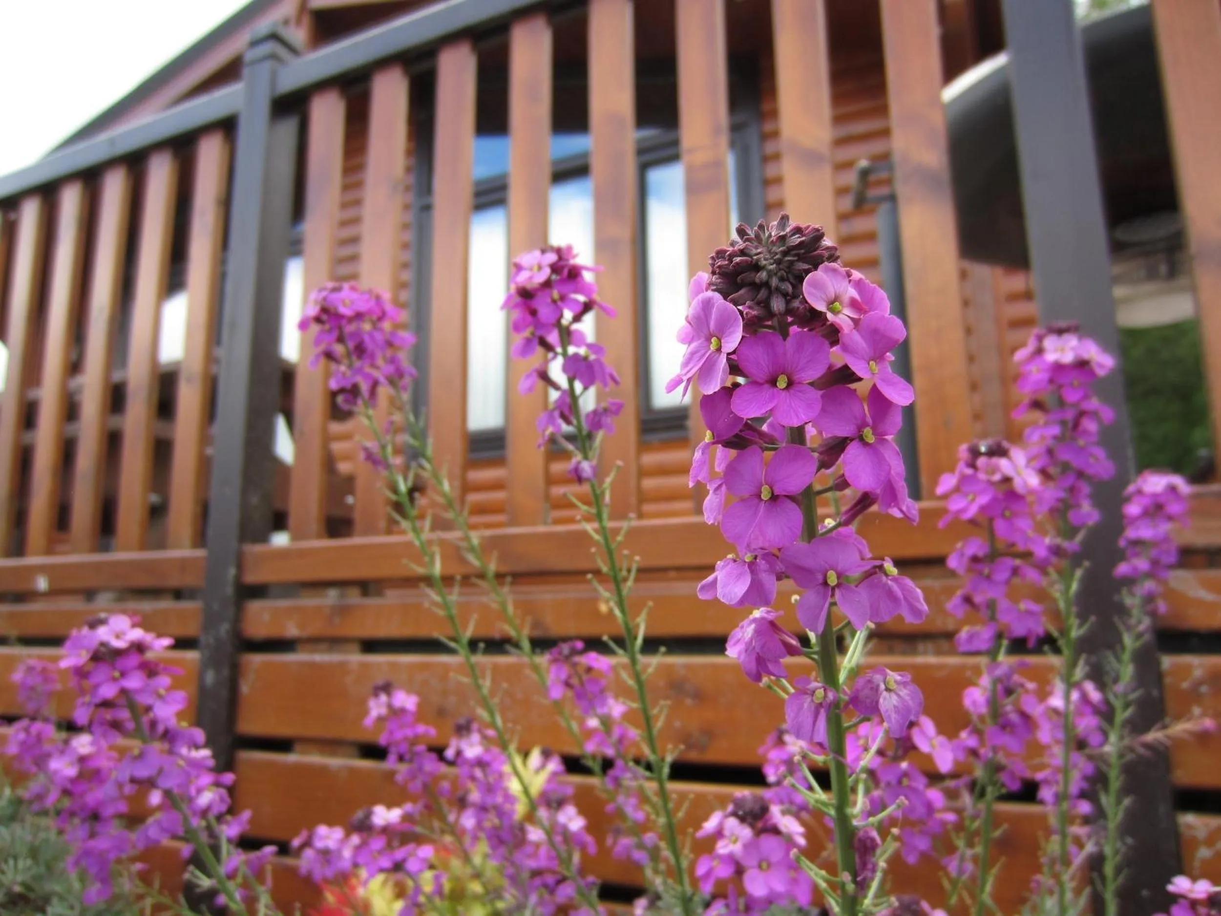 Decorative detail in Inverbeg Holiday Park
