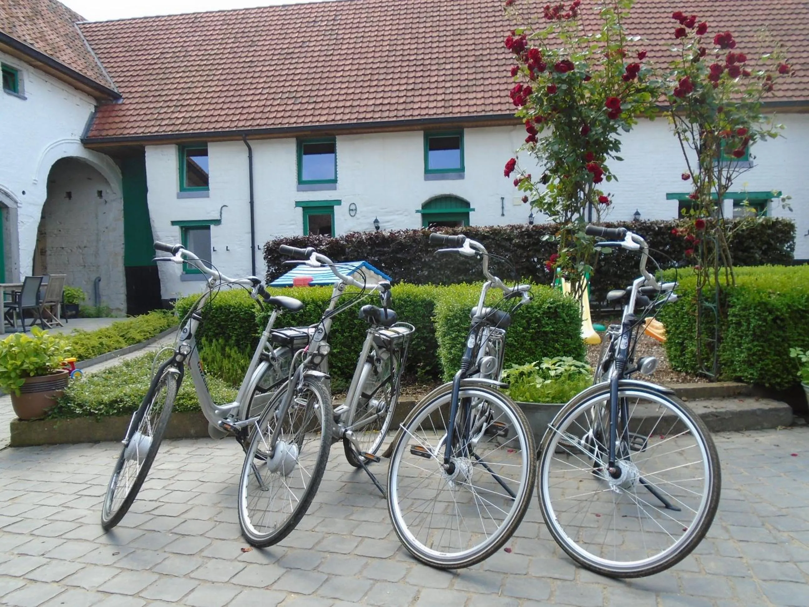 Cycling in B&B De Oude Winning