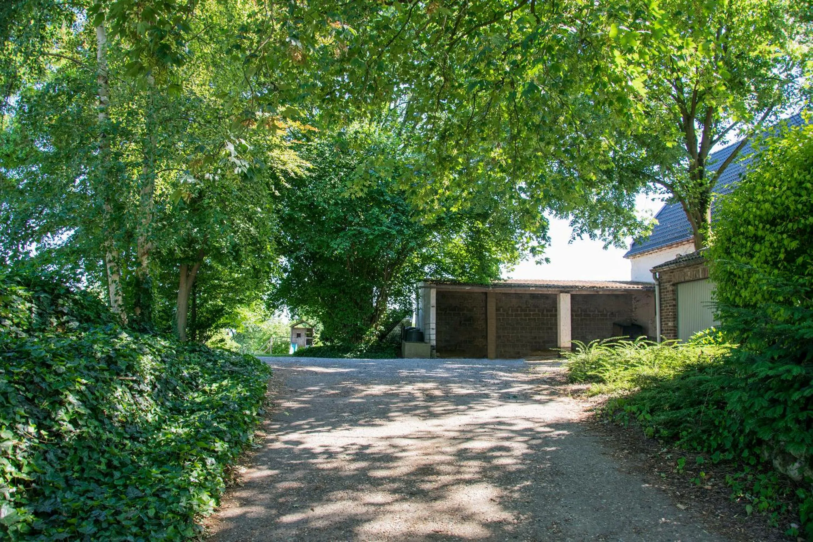 Area and facilities in B&B De Oude Winning