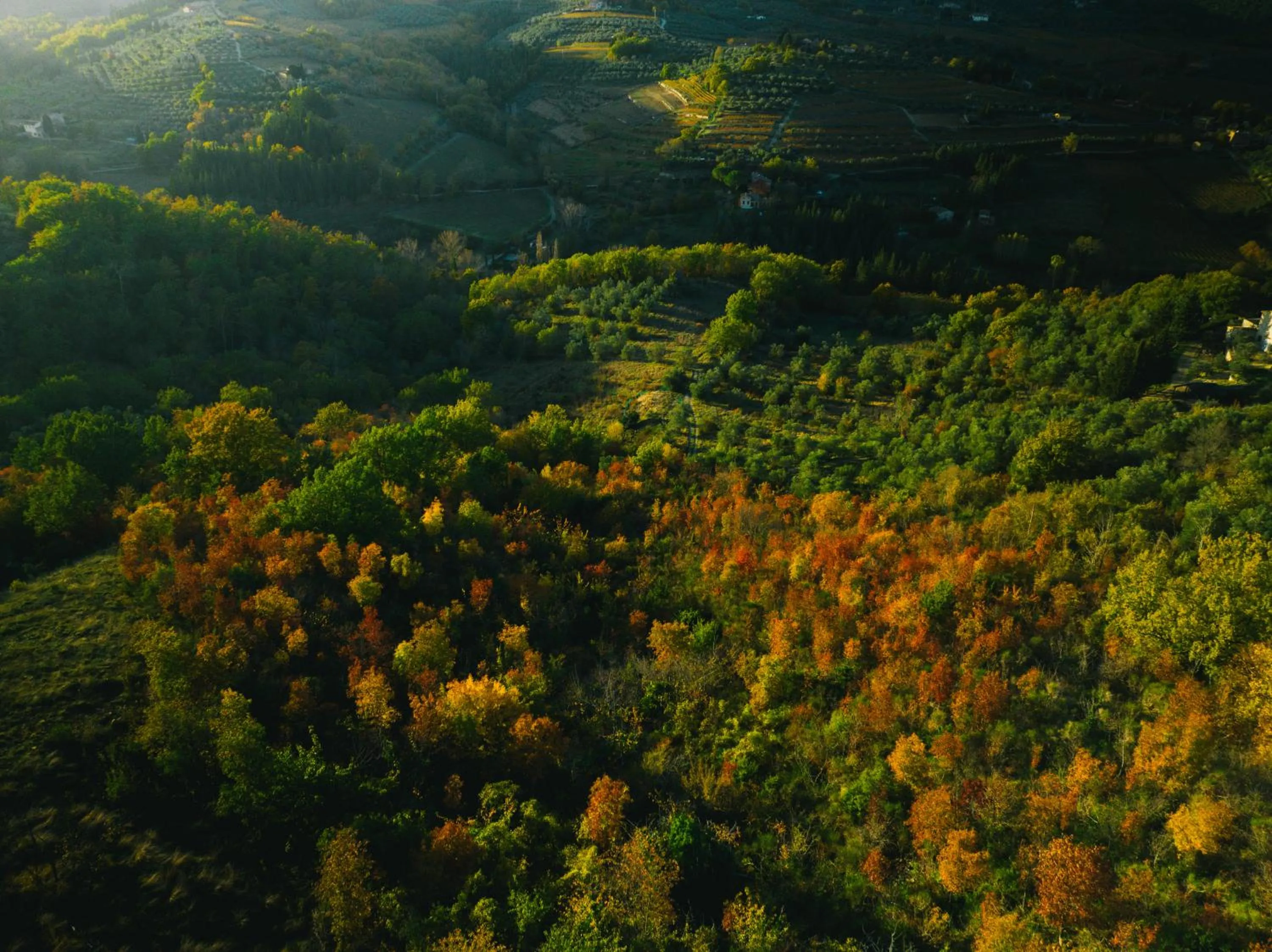 Natural landscape in Terre di Baccio