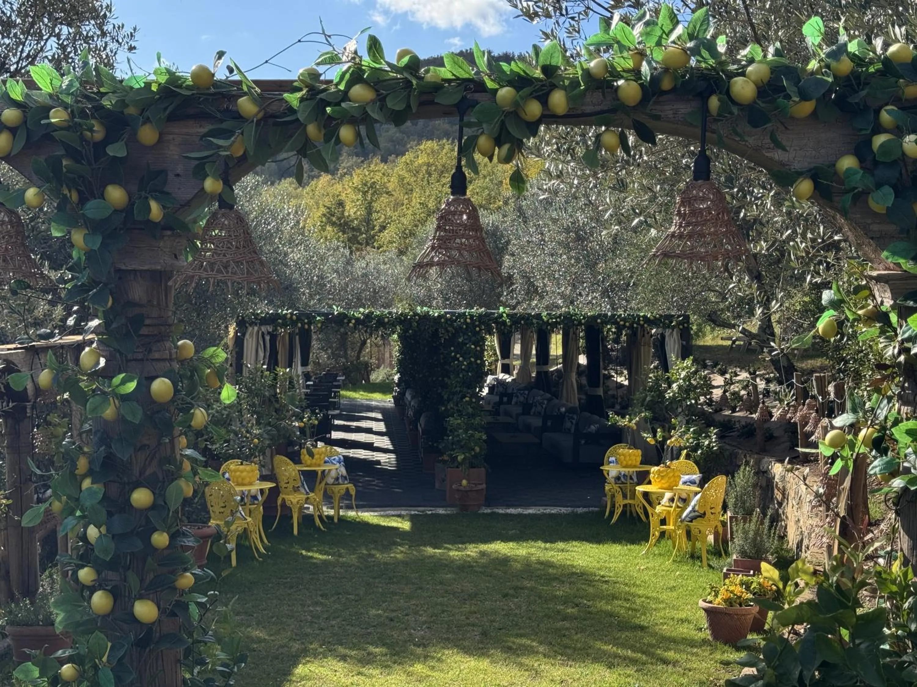 Lounge or bar in Terre di Baccio