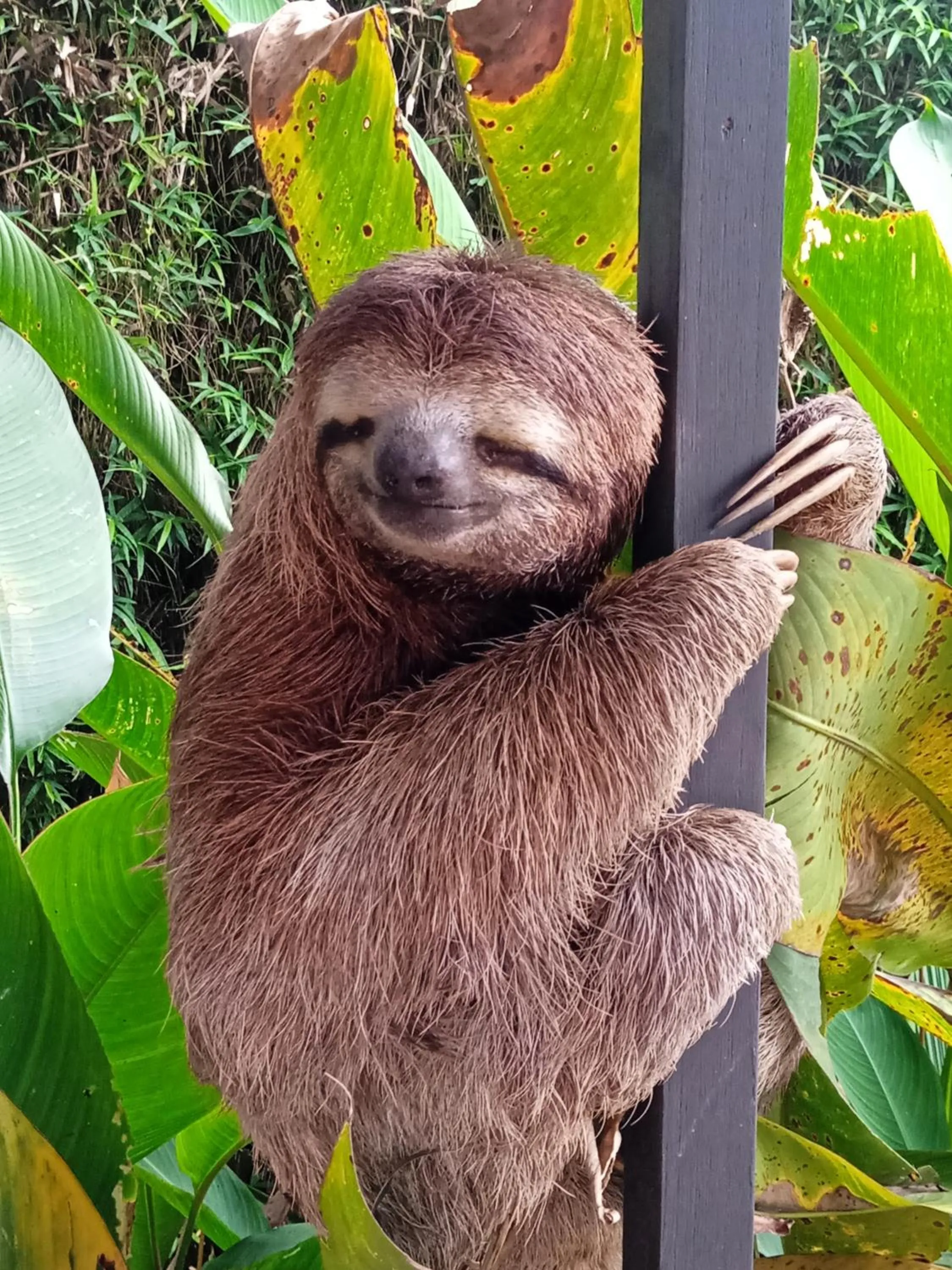 Natural landscape in Eden Tica Lodge