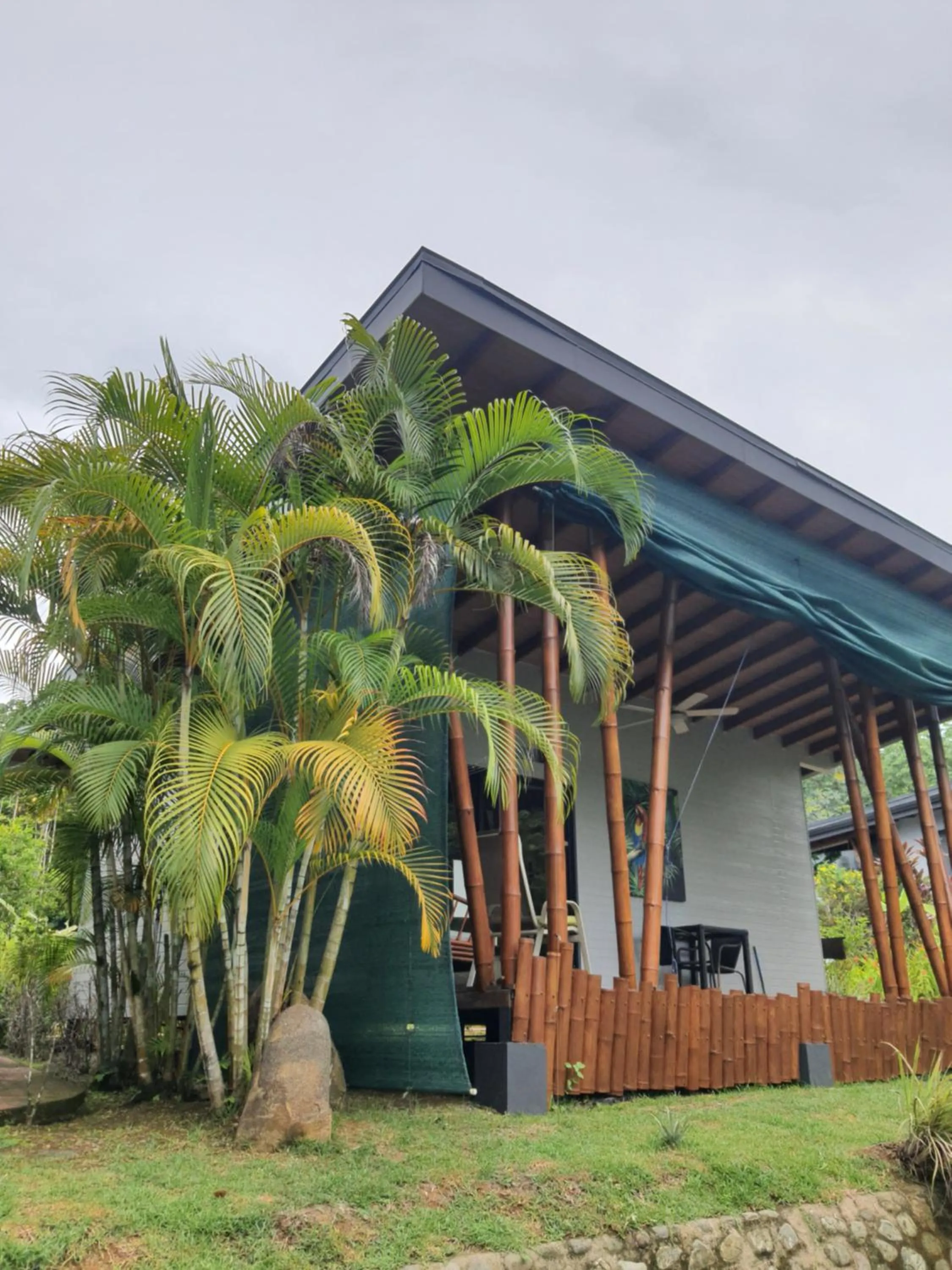 View (from property/room) in Eden Tica Lodge