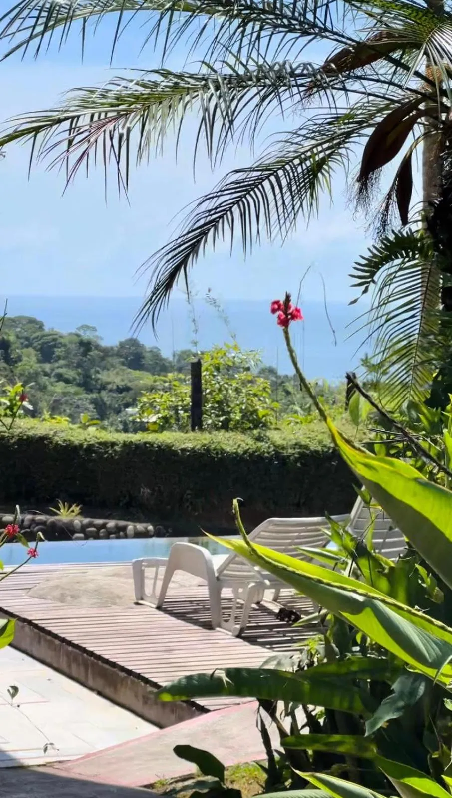 Pool view in Eden Tica Lodge