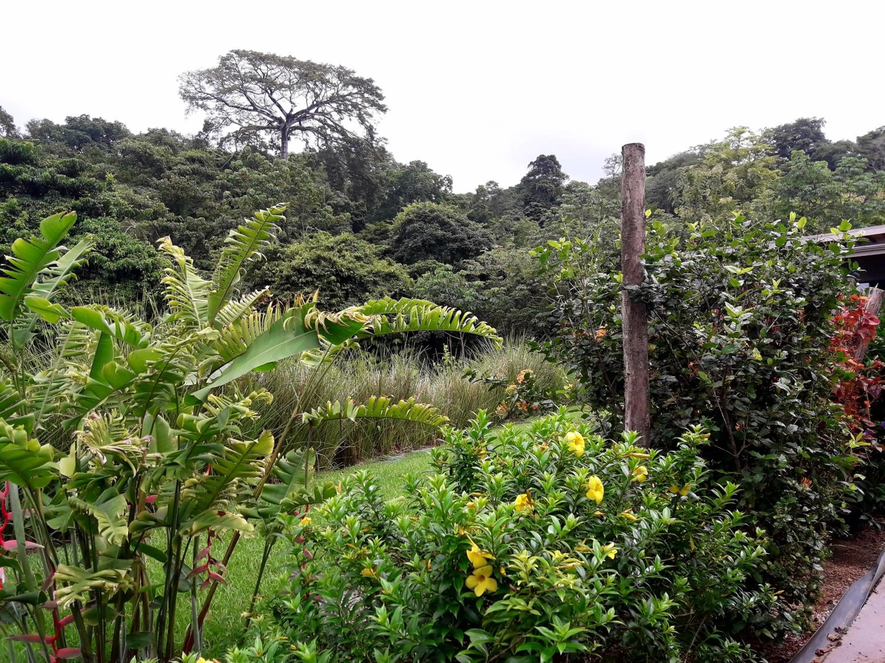 View (from property/room) in Eden Tica Lodge