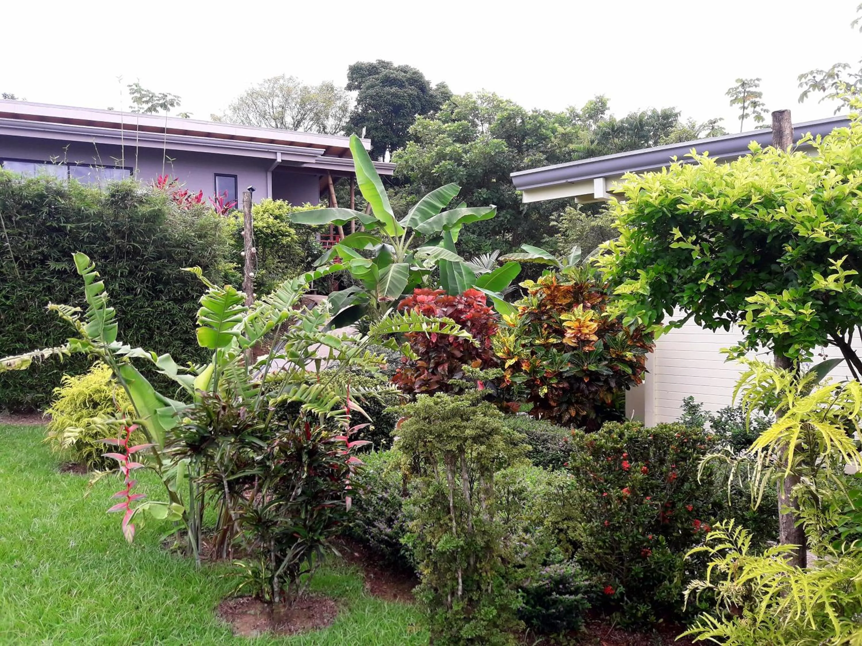 Garden view in Eden Tica Lodge