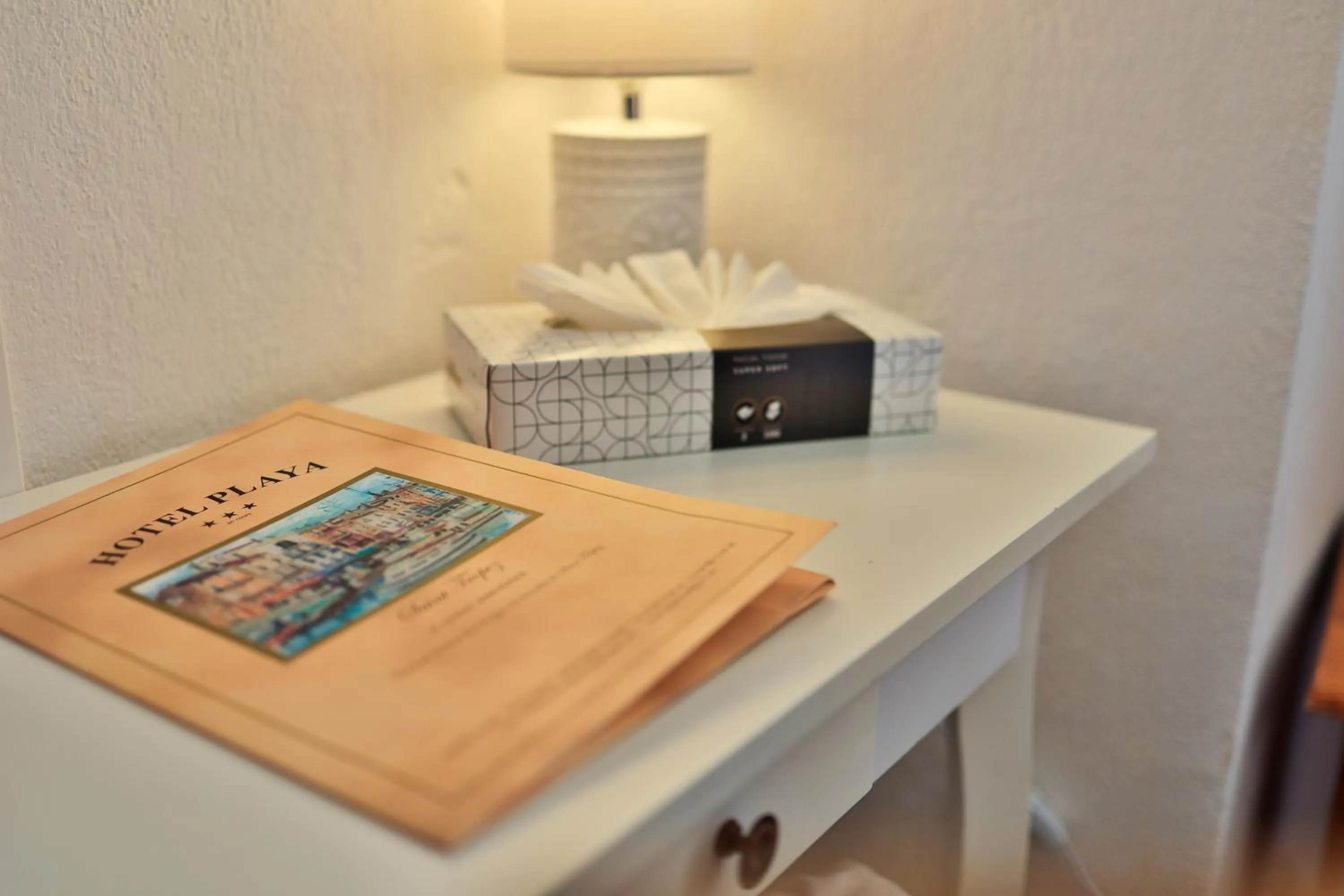 Business facilities in Hôtel Playa