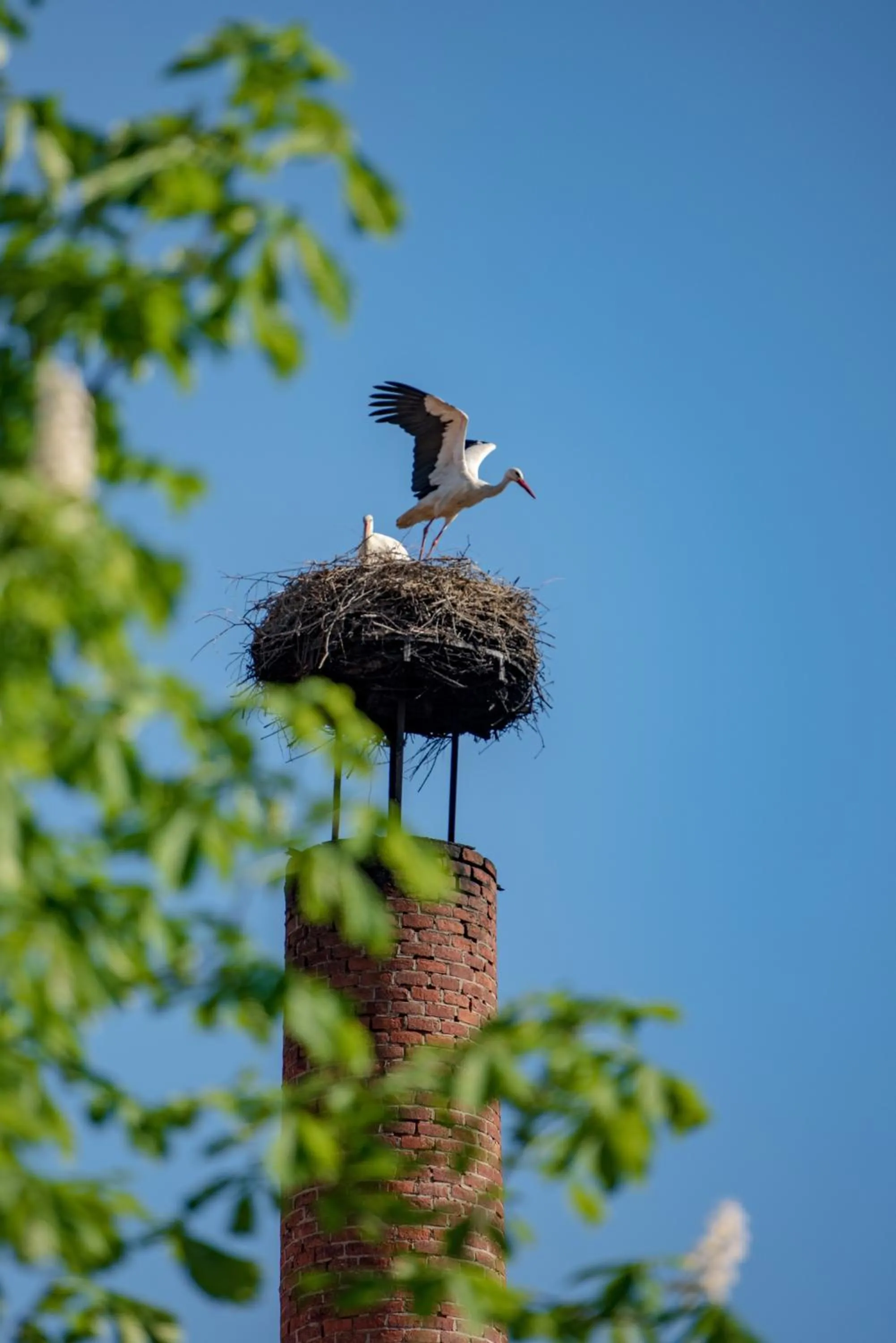 Off site in Hotel Stanglbräu