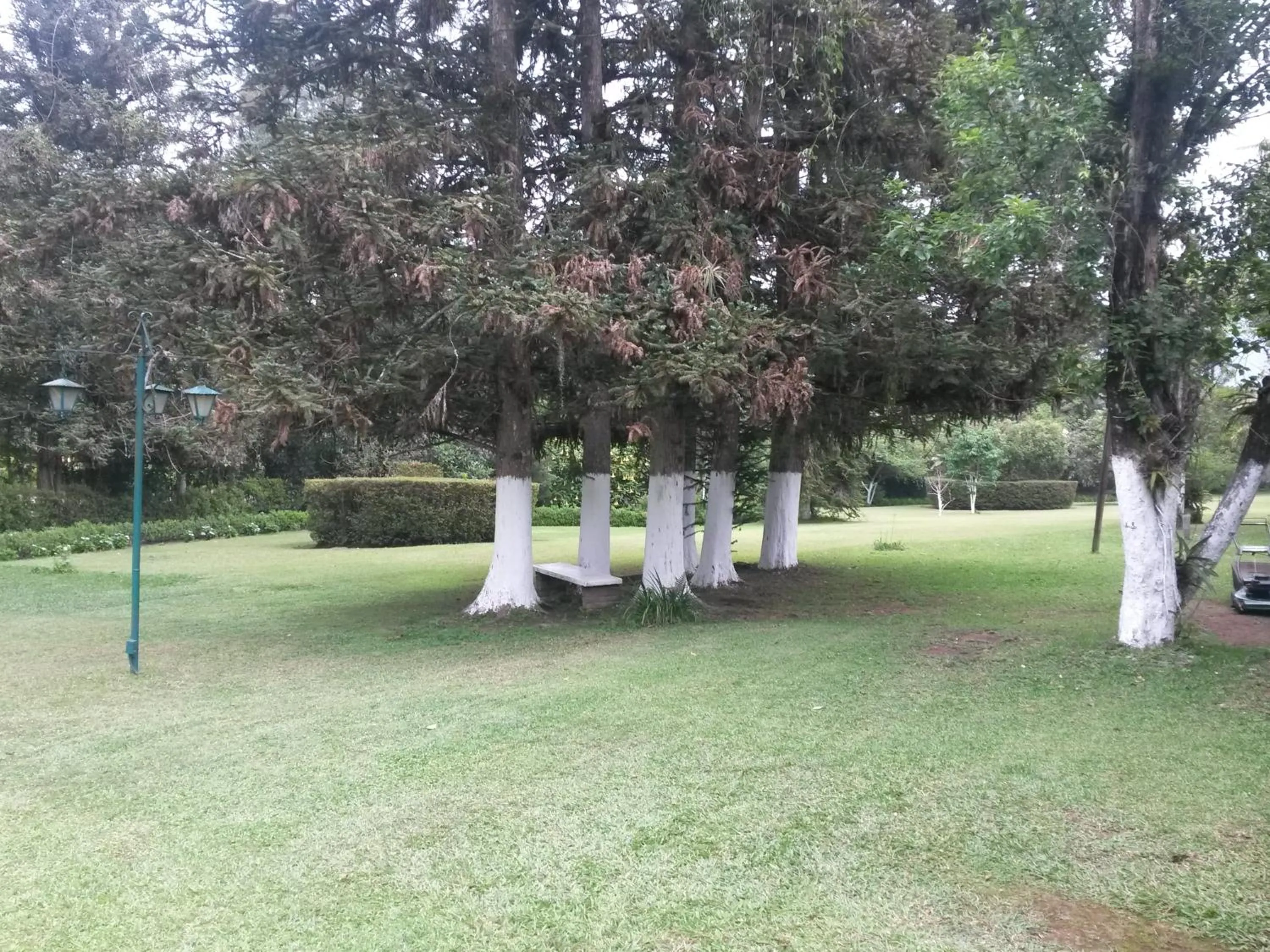 Hotel Mi Ranchito
