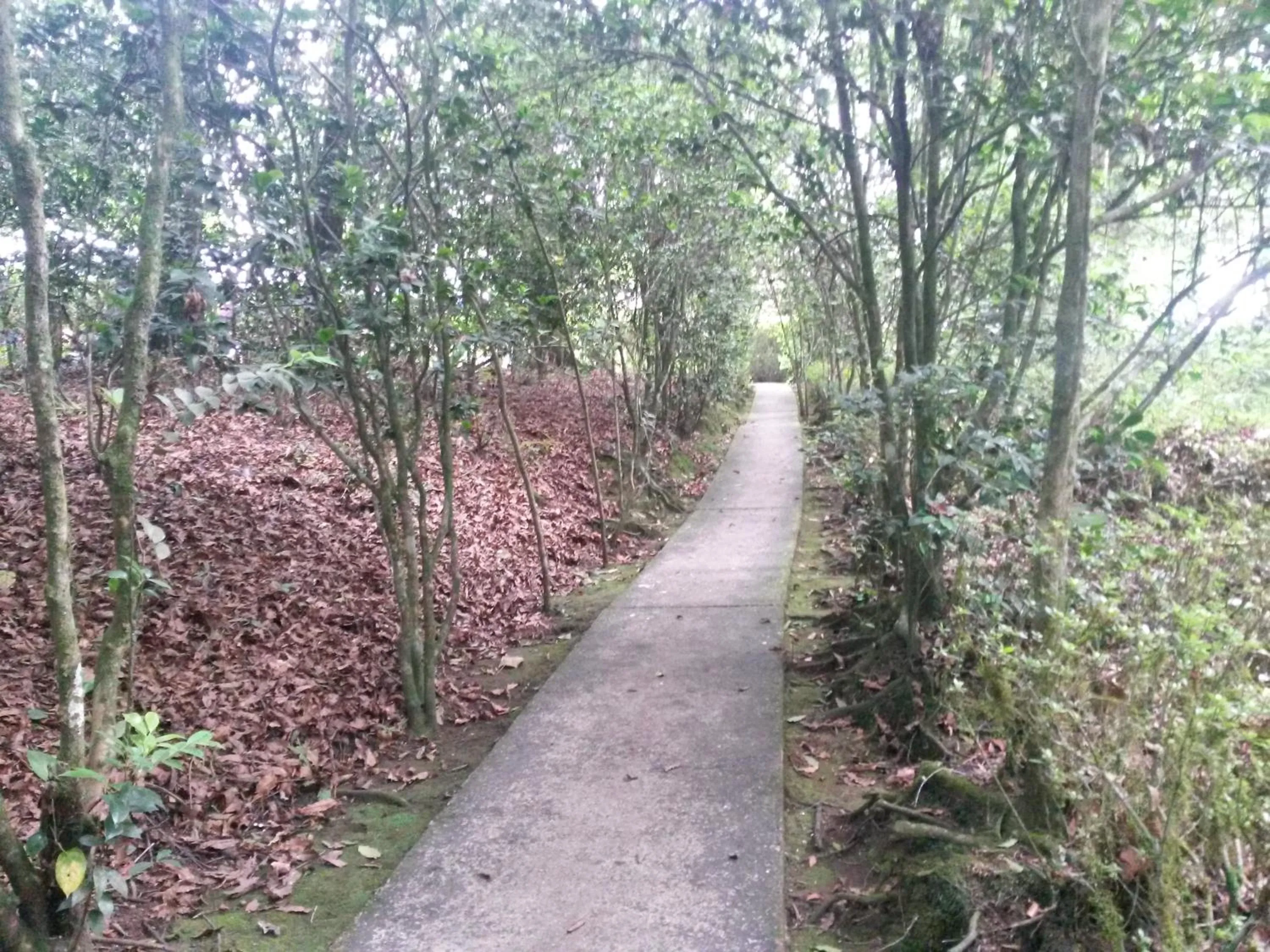 Natural landscape in Hotel Mi Ranchito