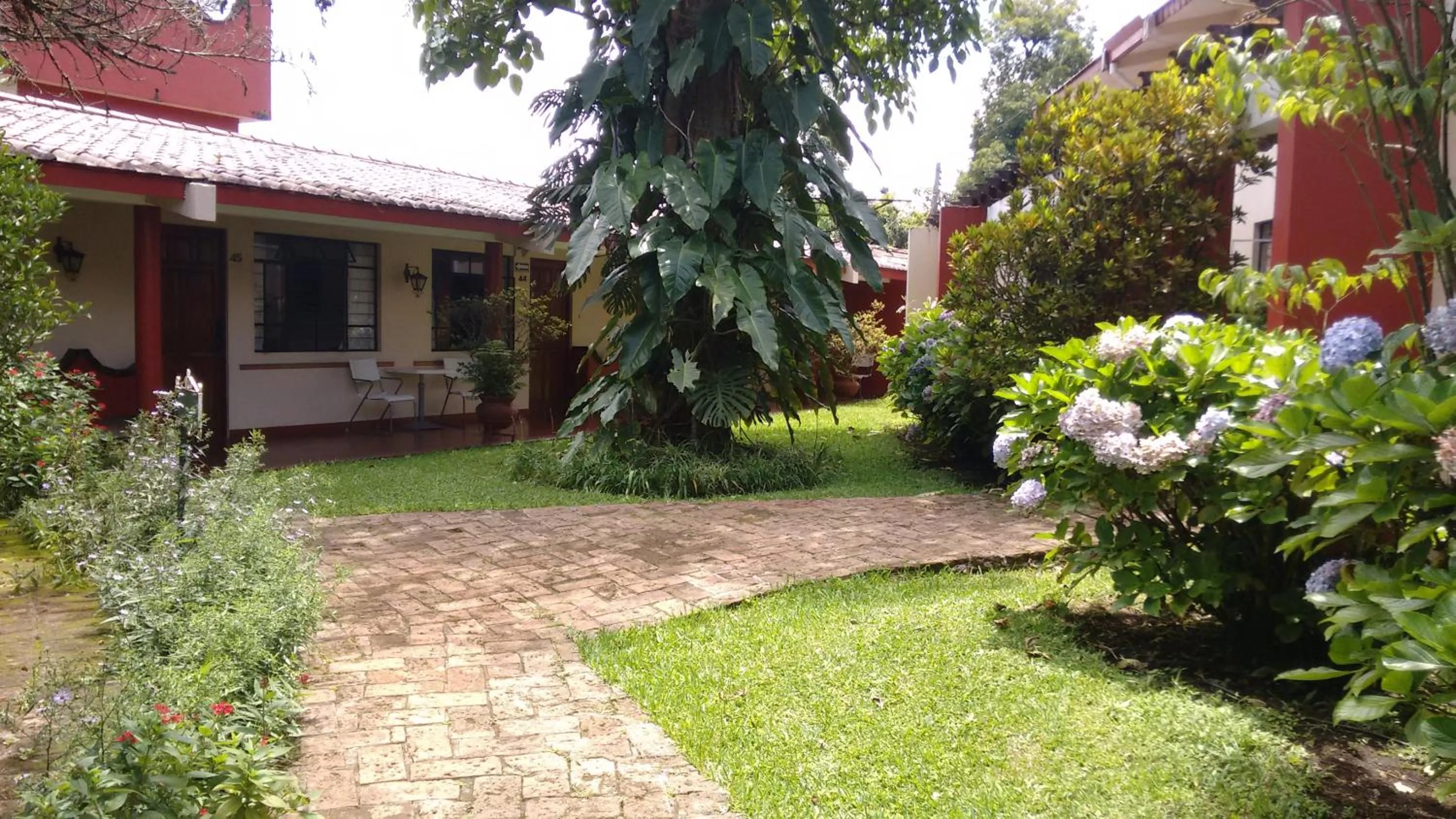Garden view in Hotel Mi Ranchito