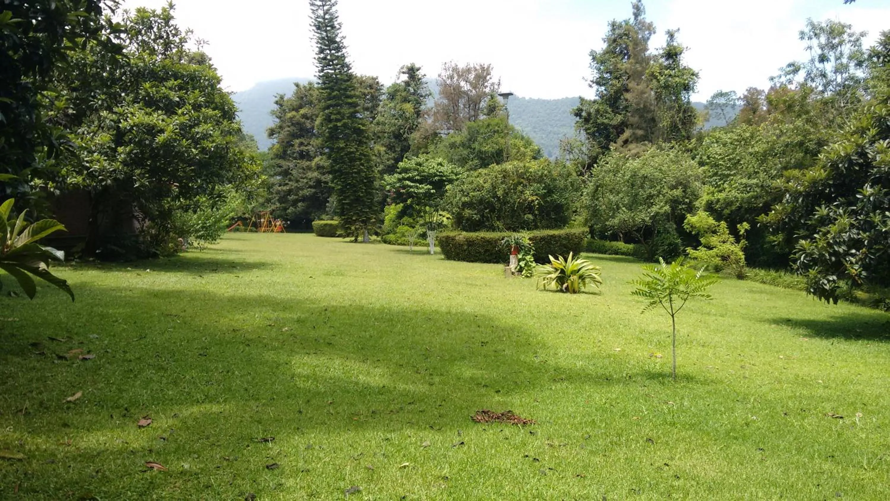 Natural landscape in Hotel Mi Ranchito