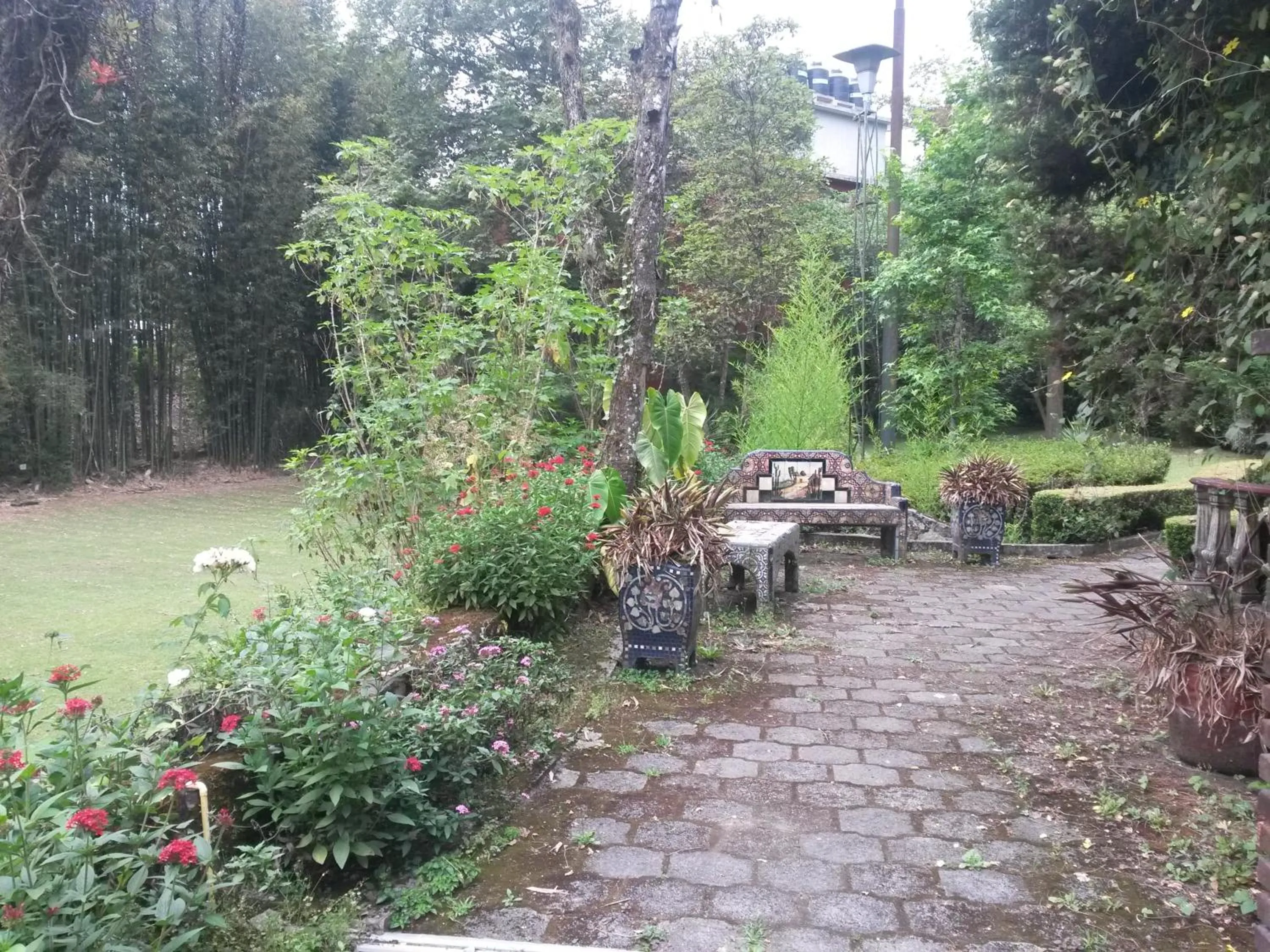 Natural landscape in Hotel Mi Ranchito