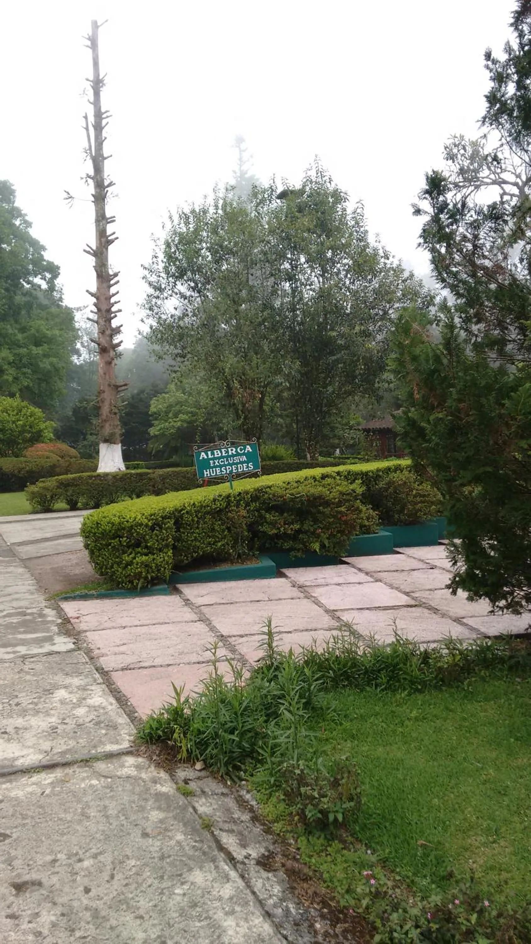 Garden in Hotel Mi Ranchito