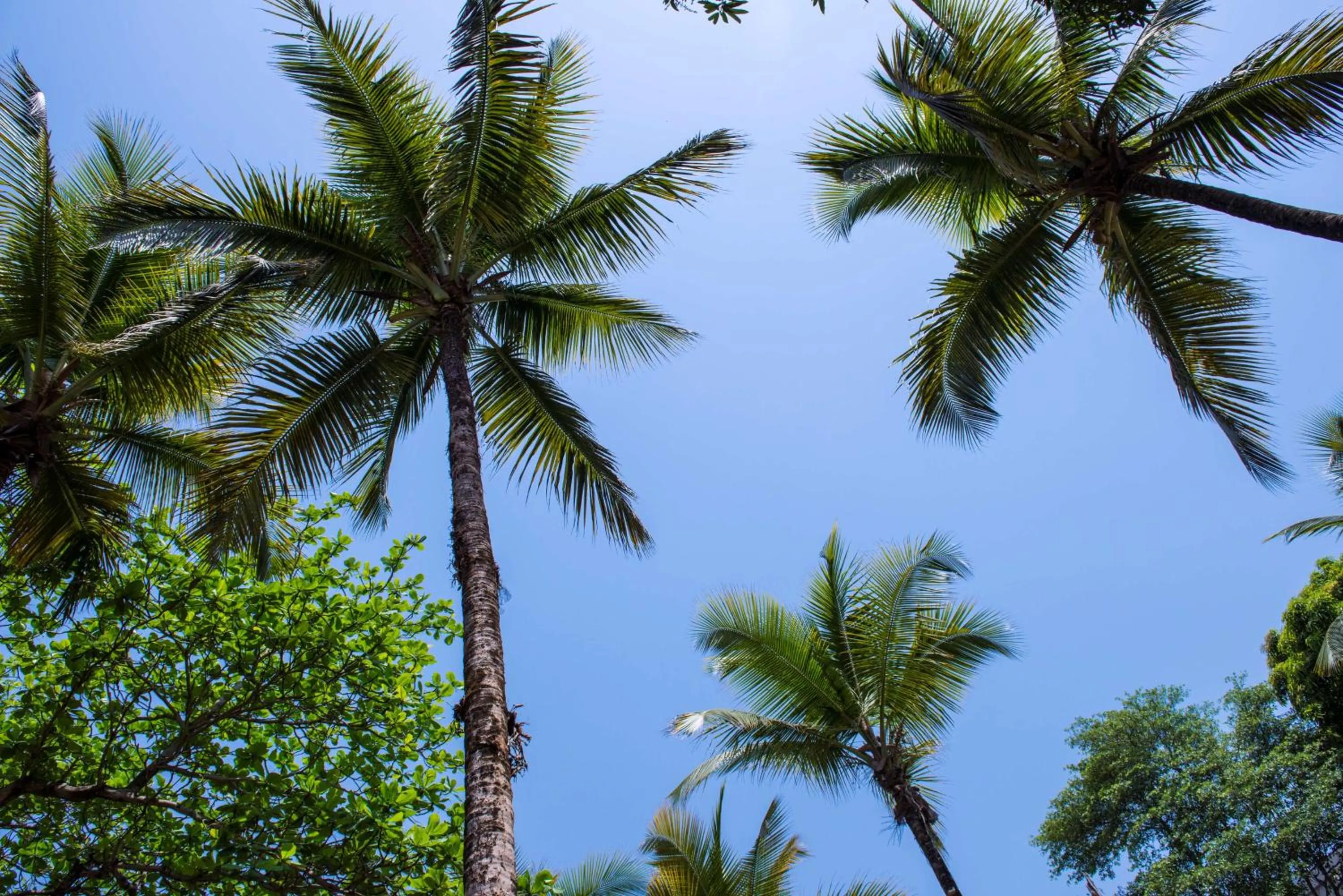 Property building in Radisson Blu Mammy Yoko Hotel