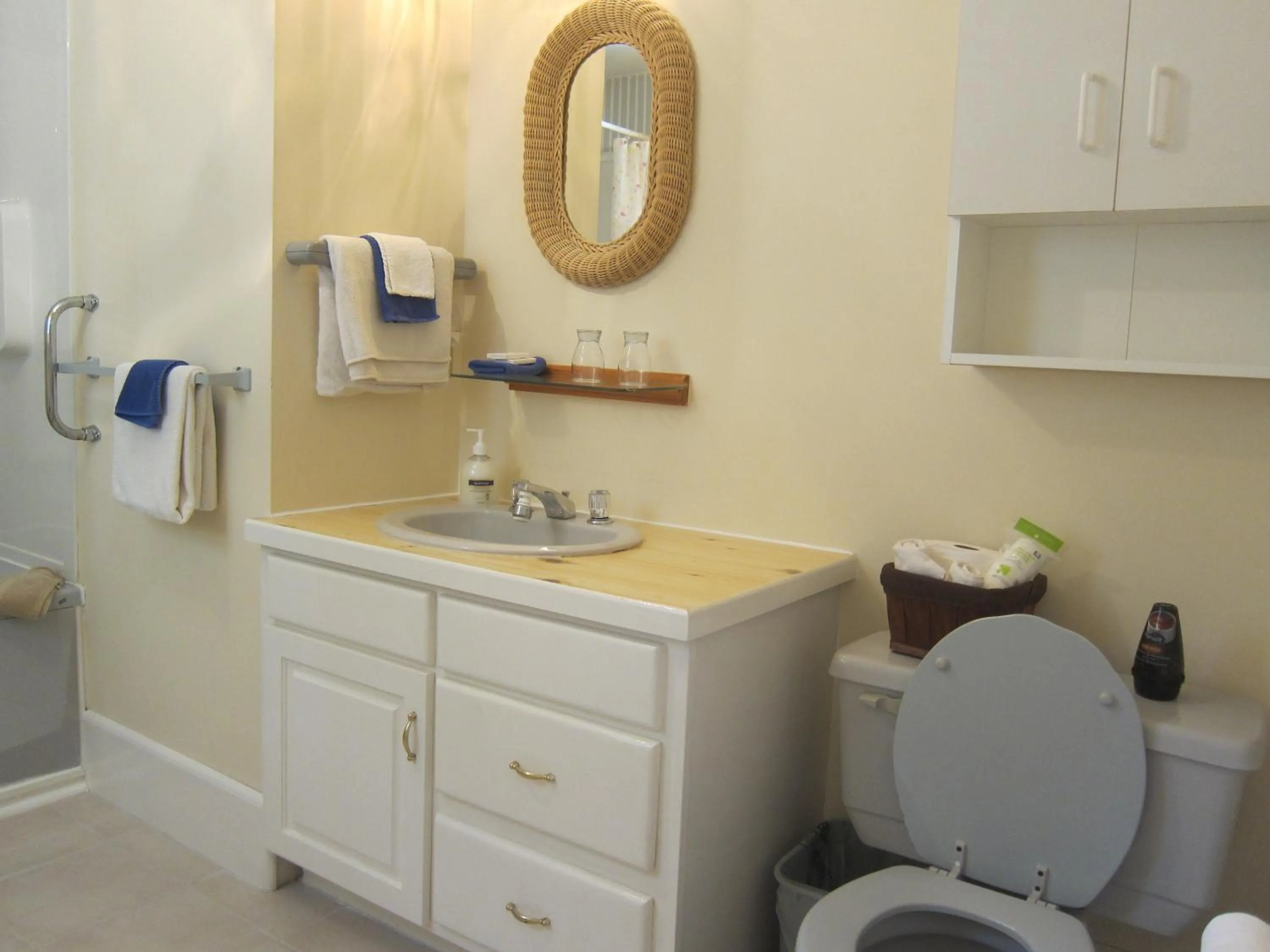 Bathroom, Kitchen/Kitchenette in Salmon River Country Inn