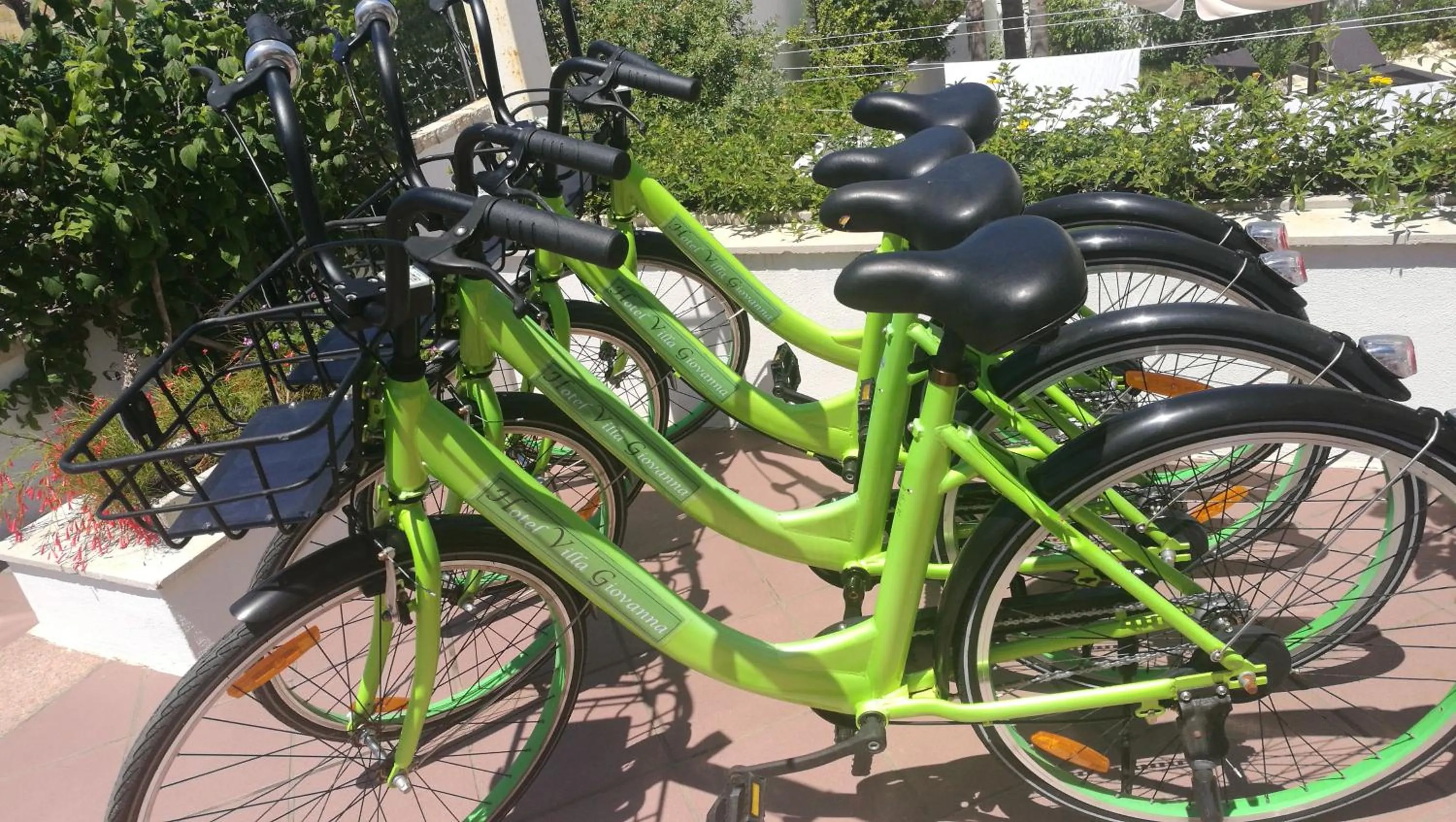 Activities in Hotel Villa Giovanna