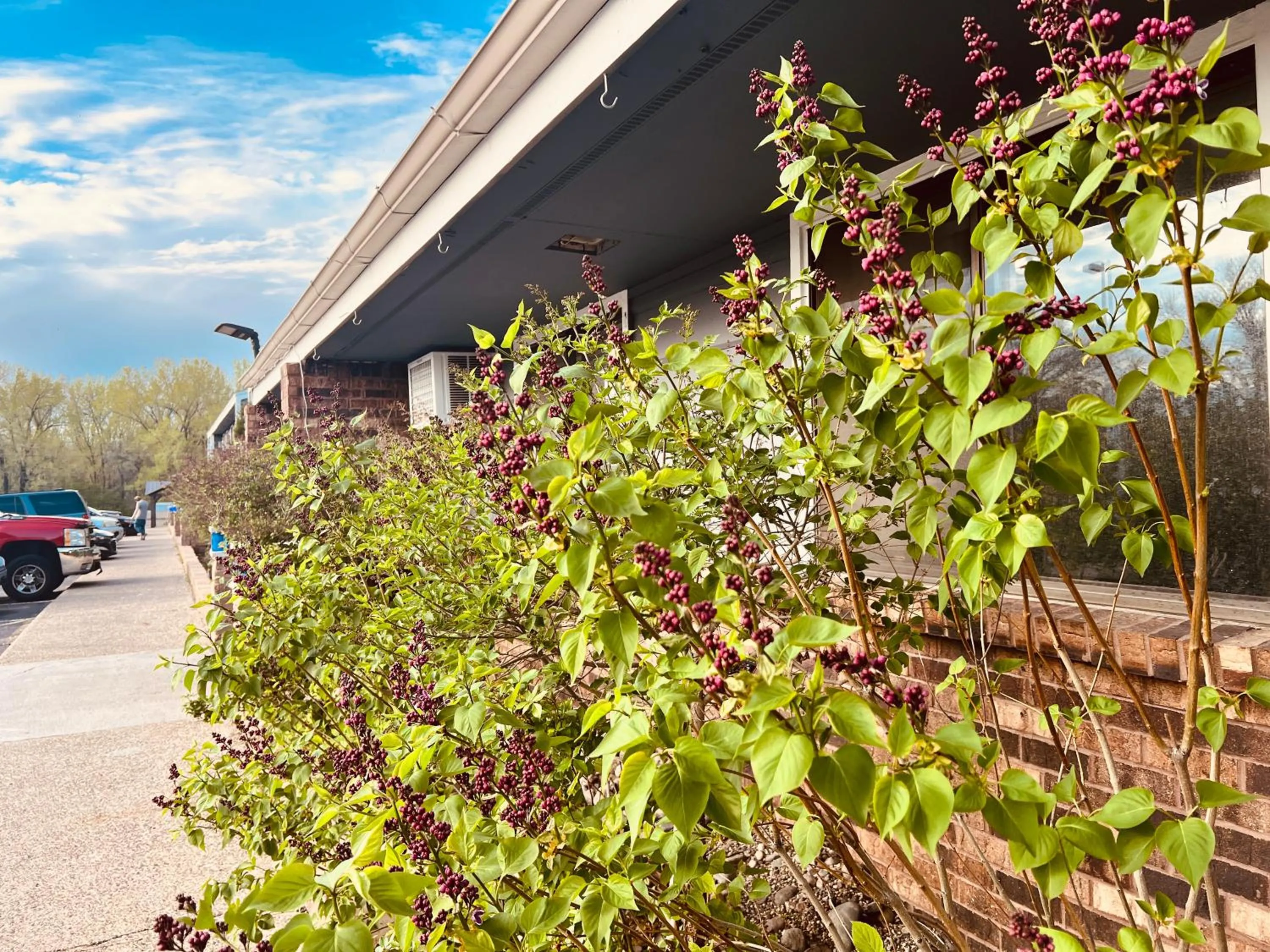 Parking in Travelodge by Wyndham Valleyfair Shakopee