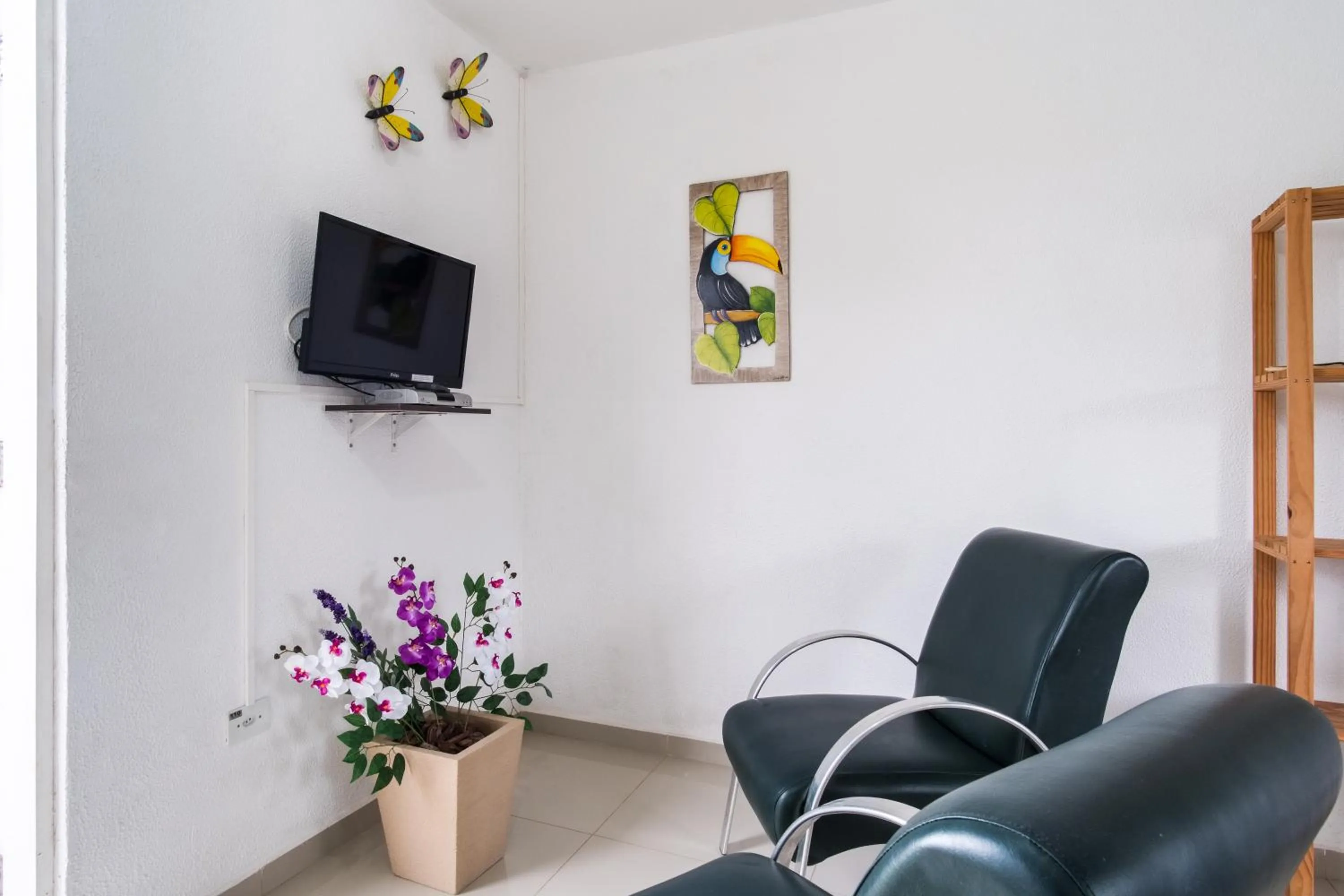 Spring in Recanto Maranduba