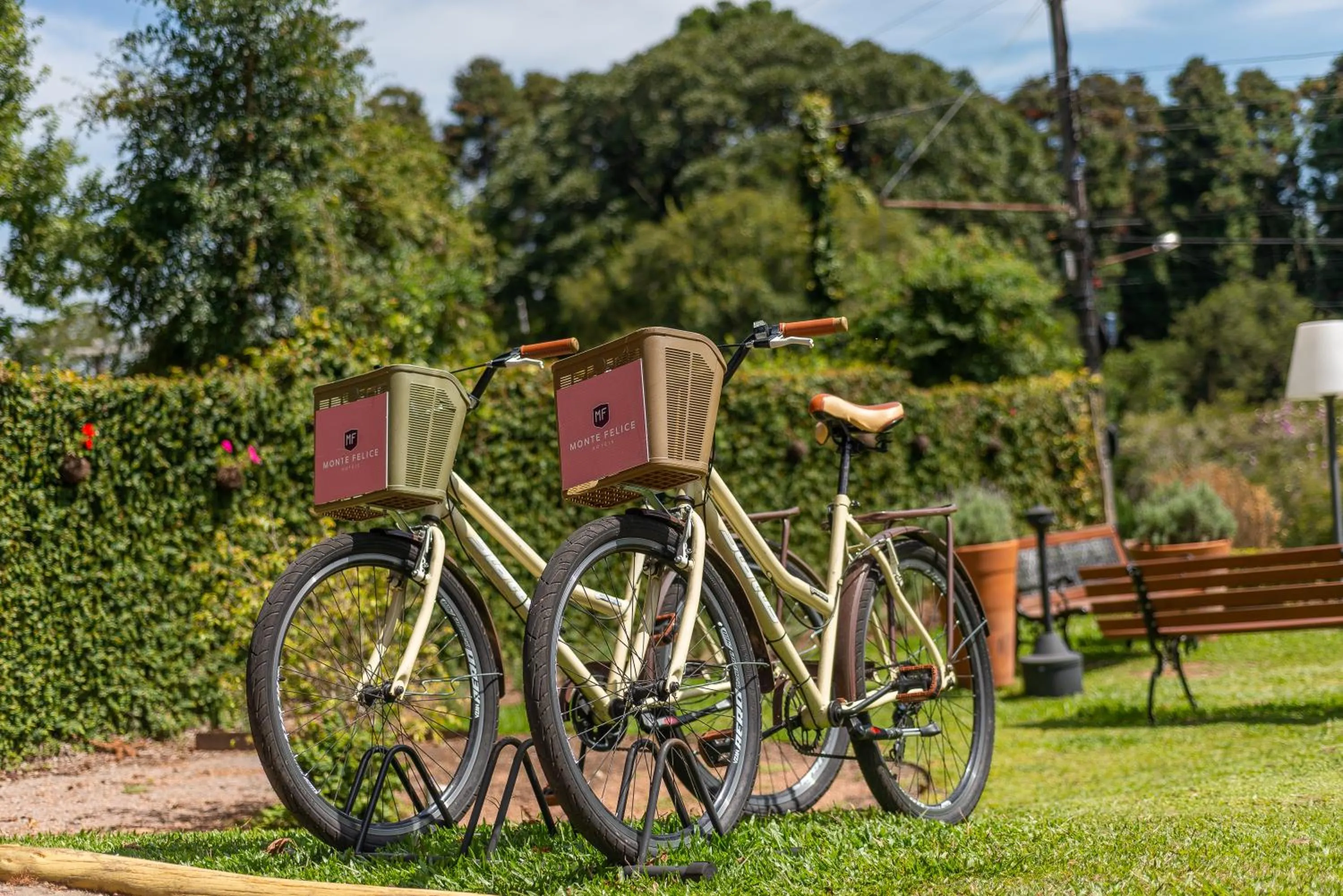 Garden in Hotel Monte Felice Bosque