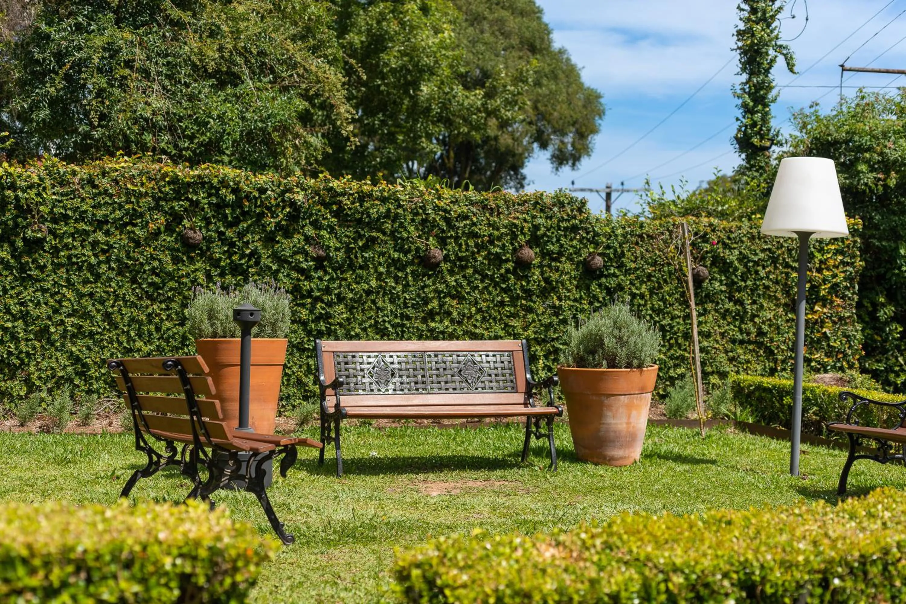 Garden in Hotel Monte Felice Bosque