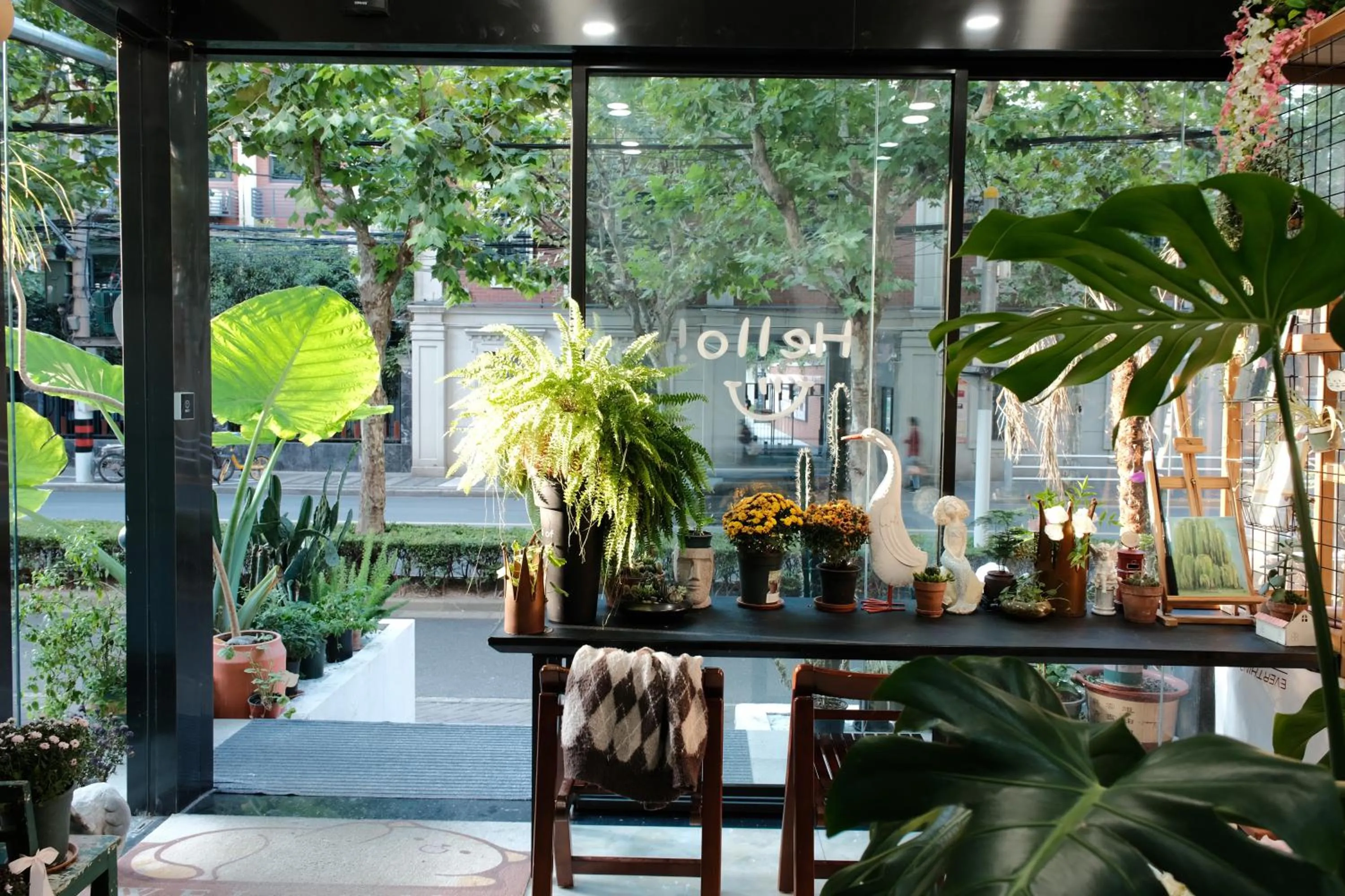 Garden in City Park Hotel