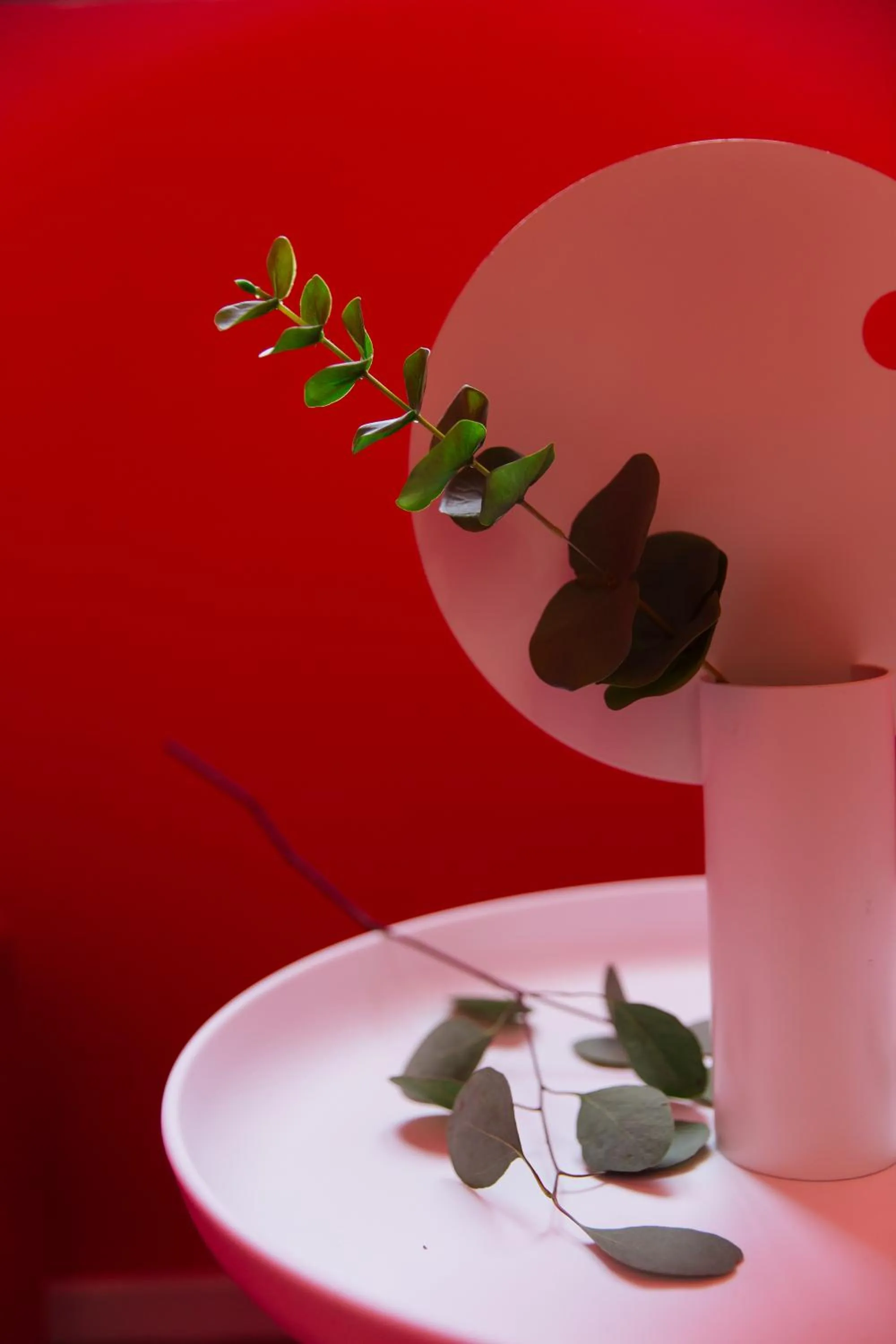 Entertainment in City Park Hotel