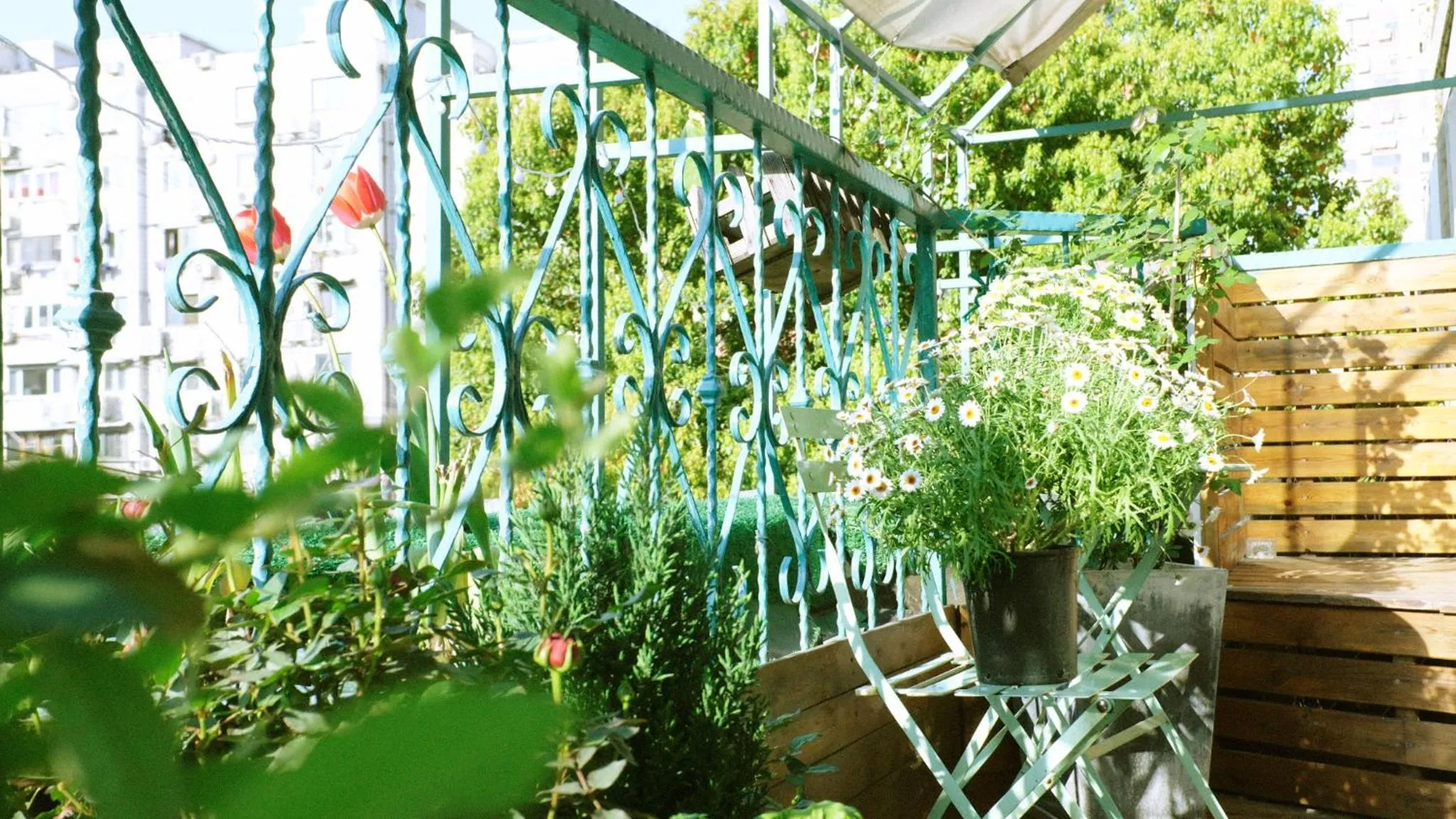 Garden in City Park Hotel