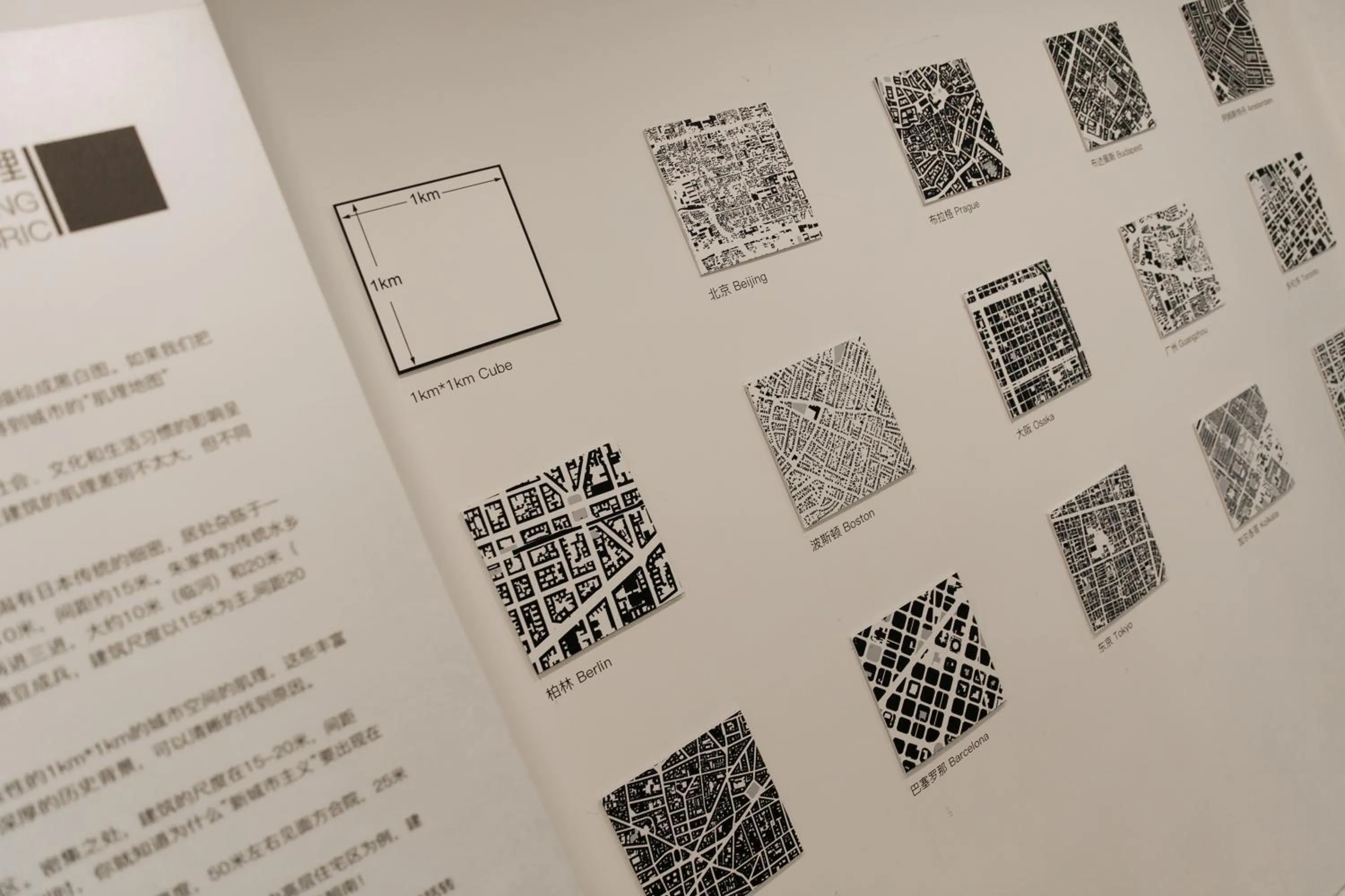 Entertainment in City Park Hotel