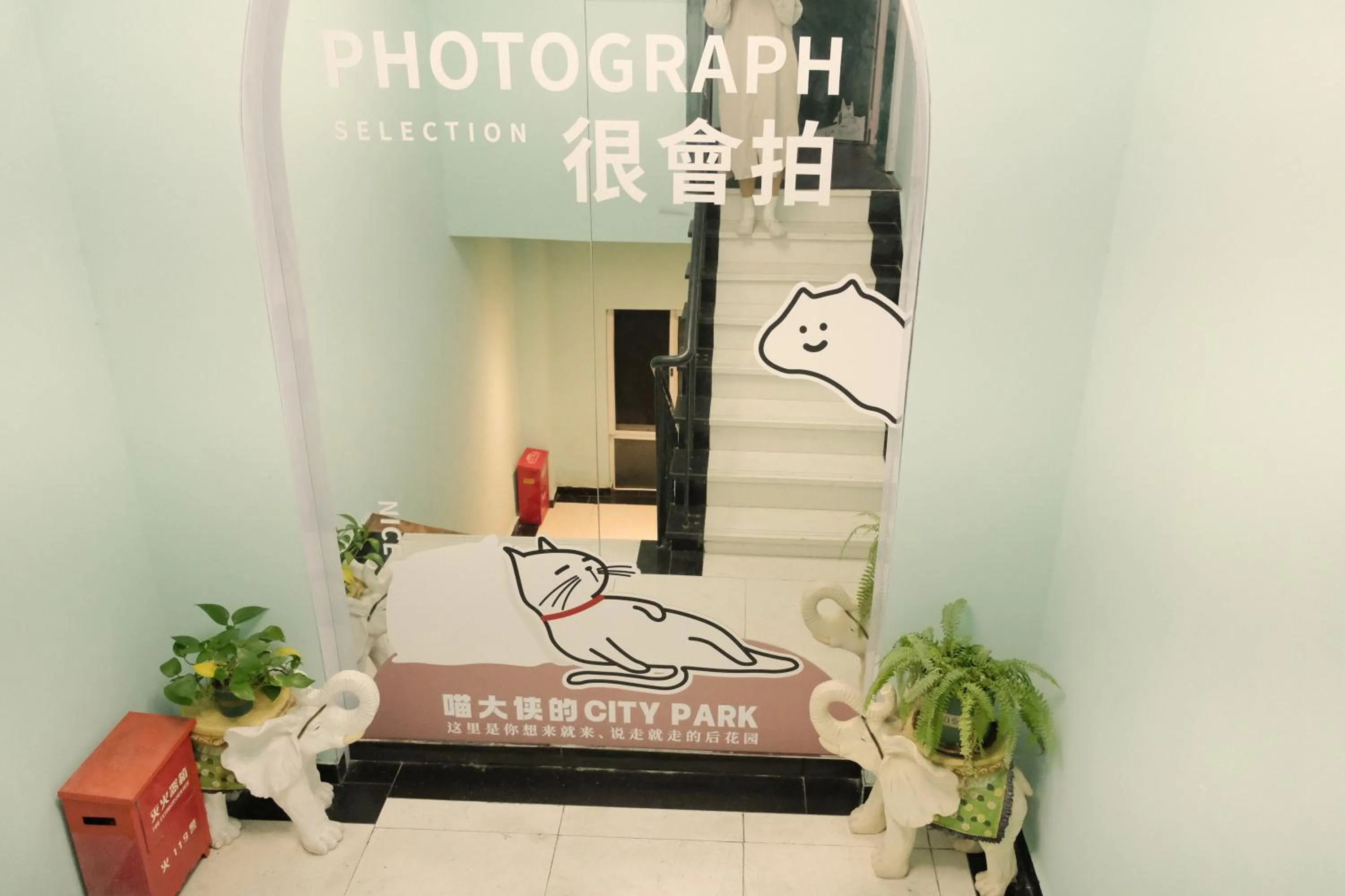 Entertainment in City Park Hotel