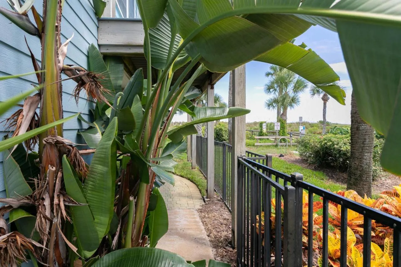 Sea Glass Cottage - An Oceanfront Experience