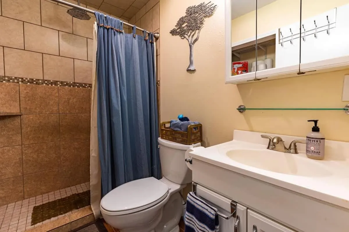 Shower in Red Bird Cabin Studio Retreat