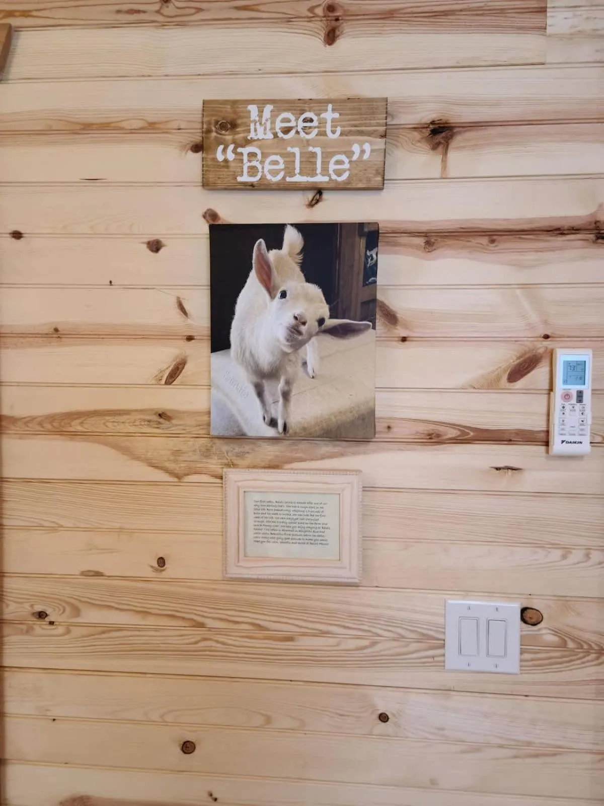 Text overlay in Stunning Cabin Right on Main St!