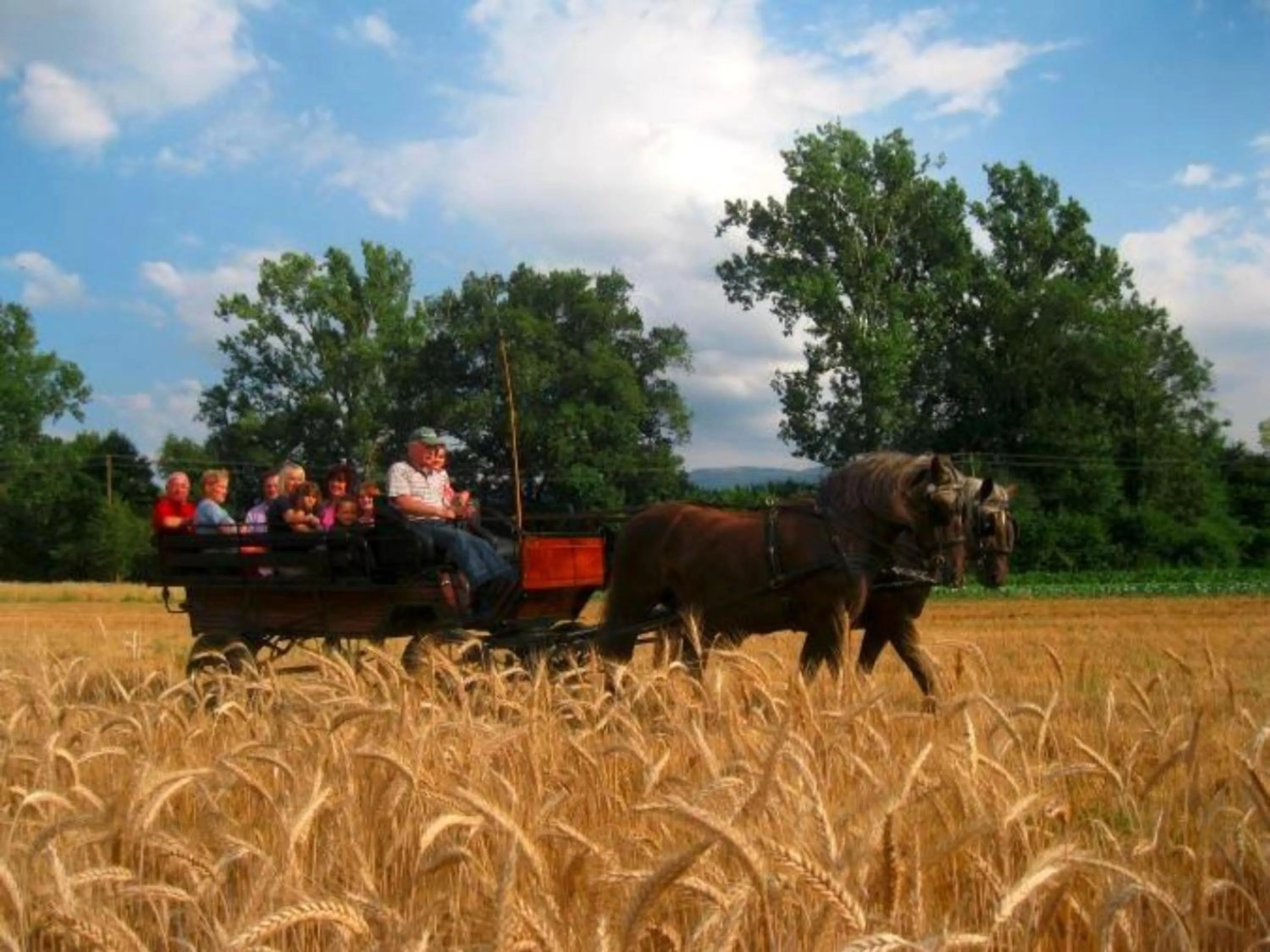 Entertainment in Ferienwohnungen Maierhof Oberried