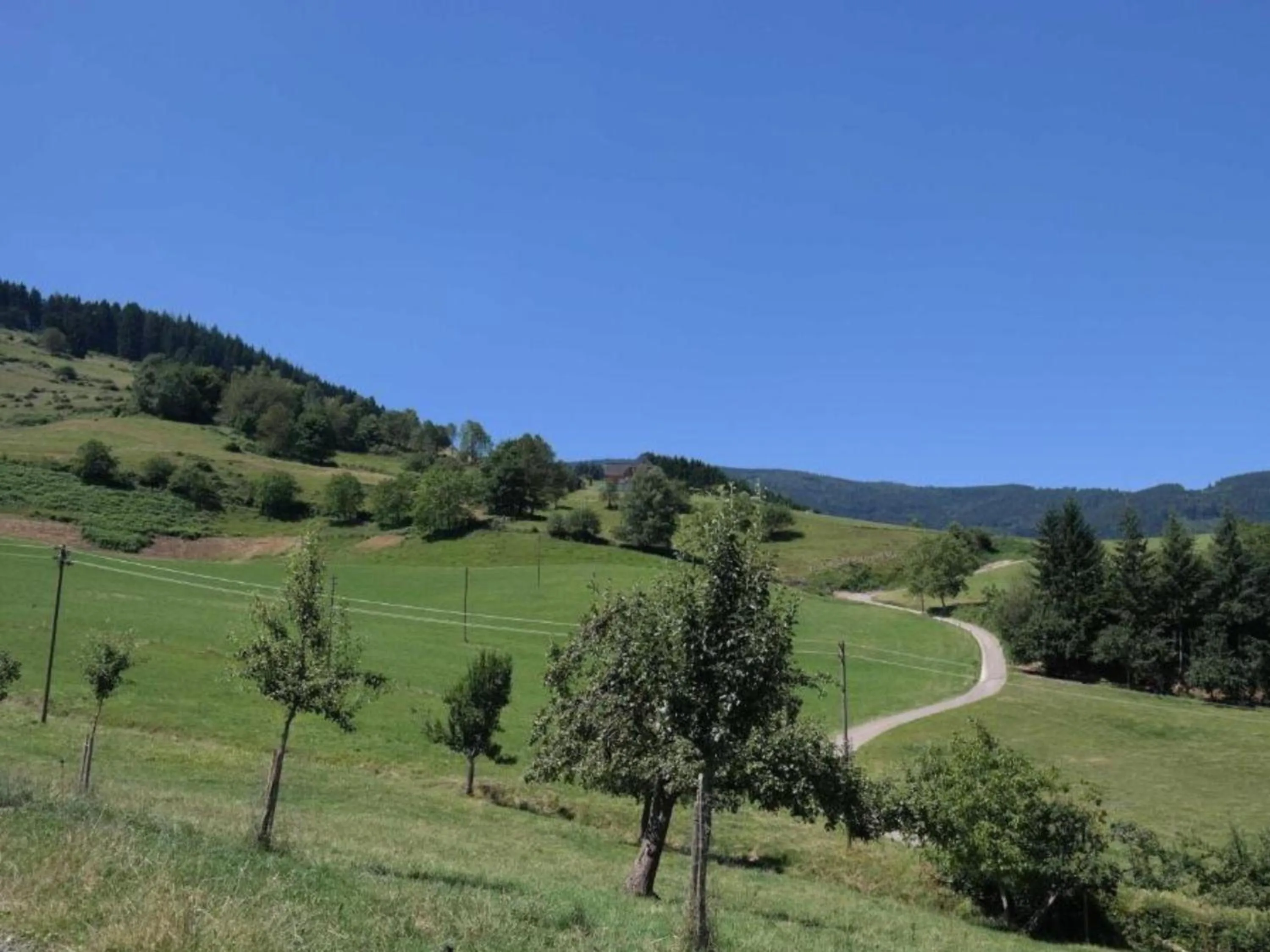 View (from property/room) in Ferienwohnungen Maierhof Oberried