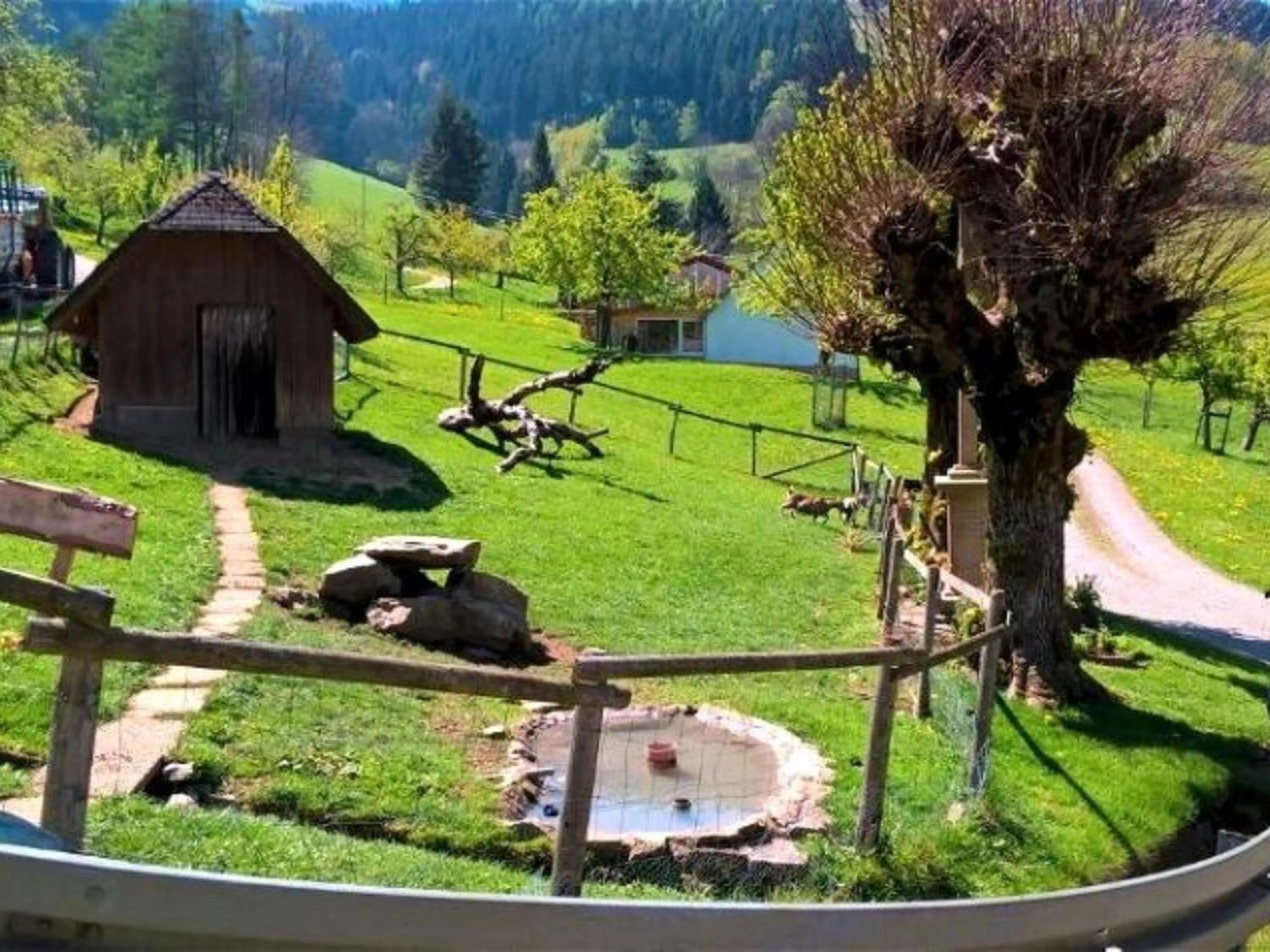 Animals in Ferienwohnungen Maierhof Oberried