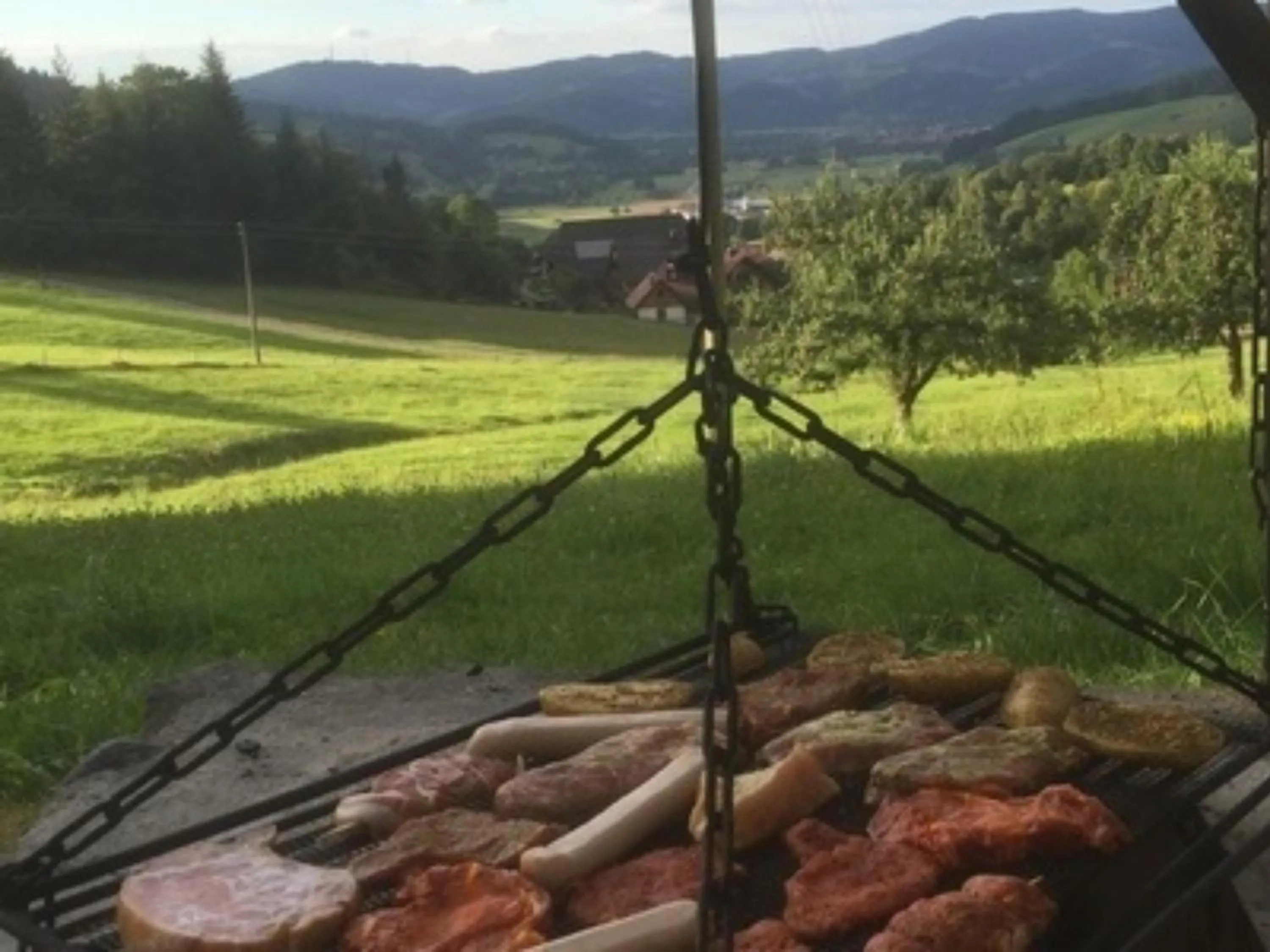 BBQ facilities in Ferienwohnungen Maierhof Oberried